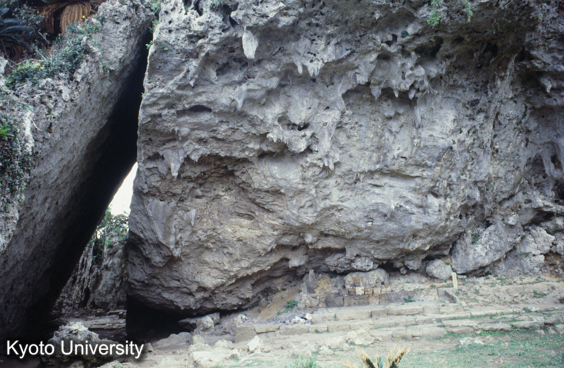 ［スライド］ (1)