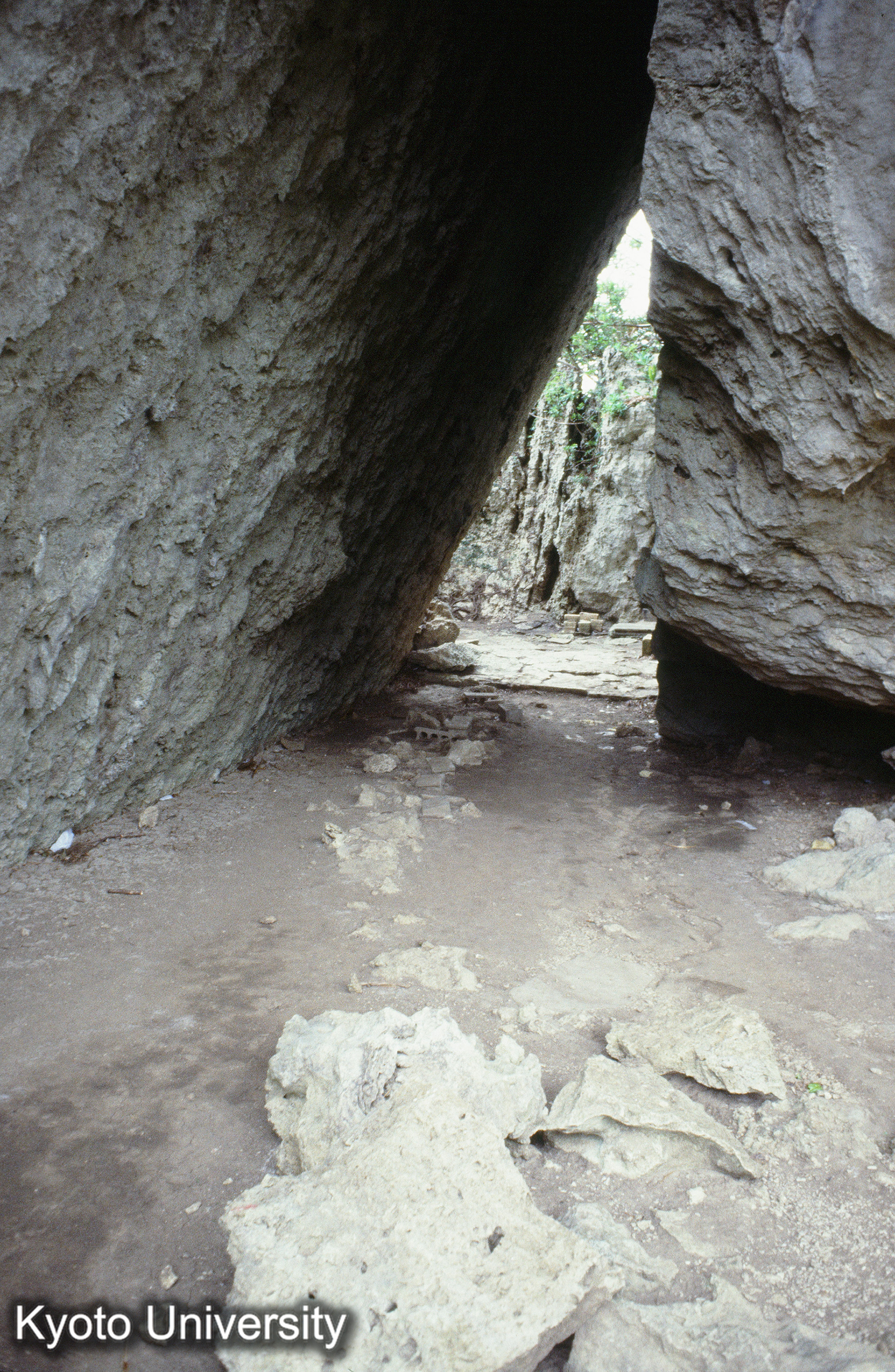 ［スライド］ (1)