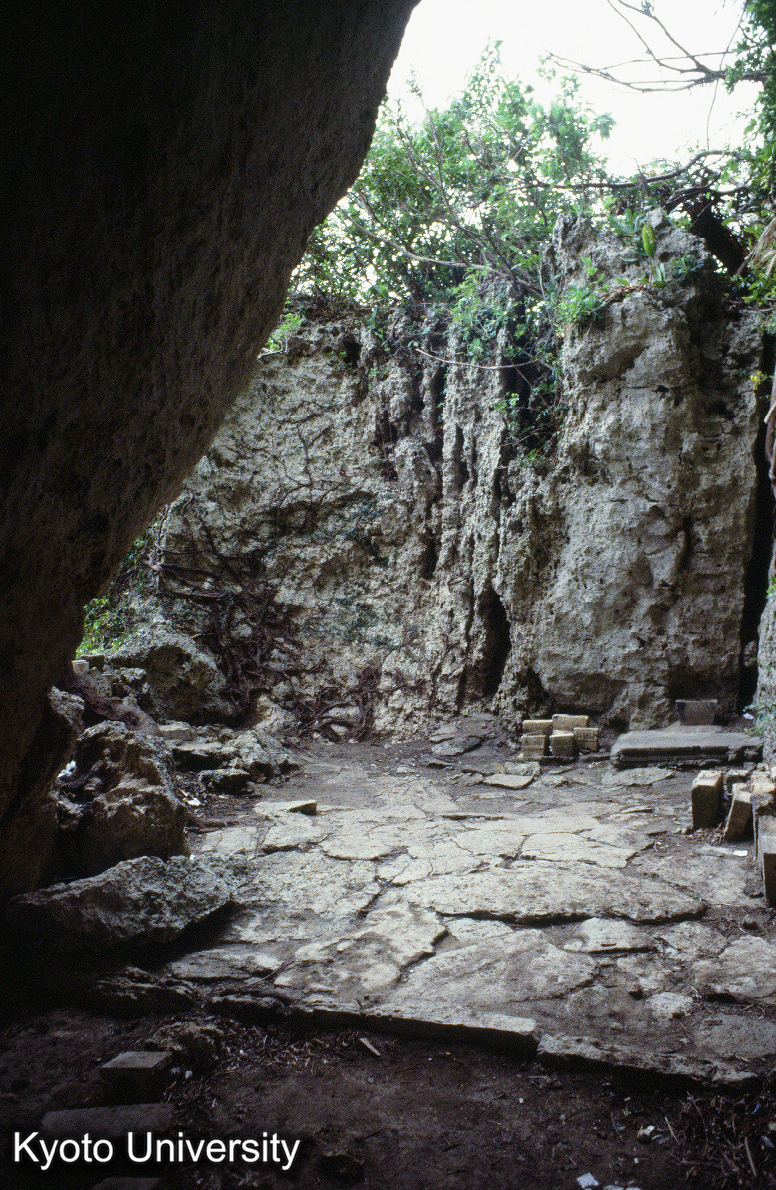 ［スライド］ (1)