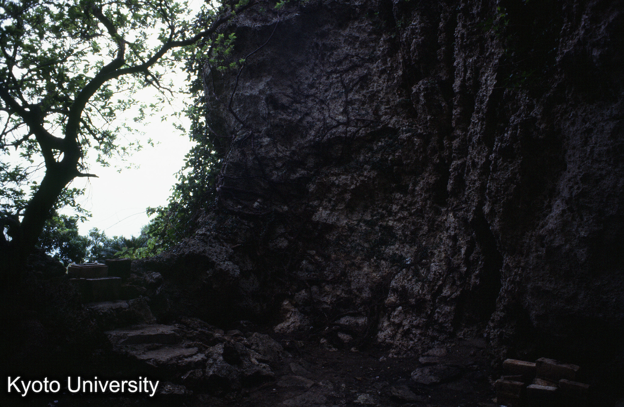 ［スライド］ (1)