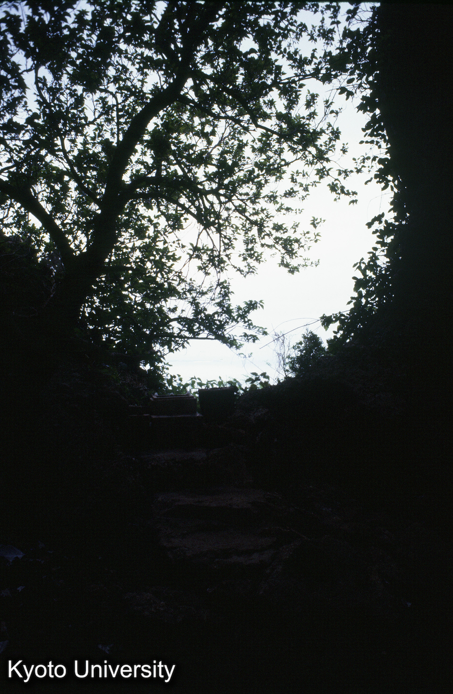 ［スライド］ (1)