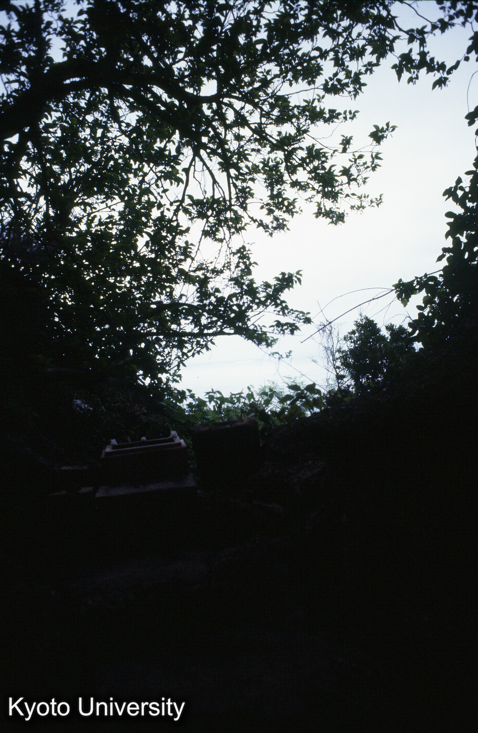 ［スライド］ (1)