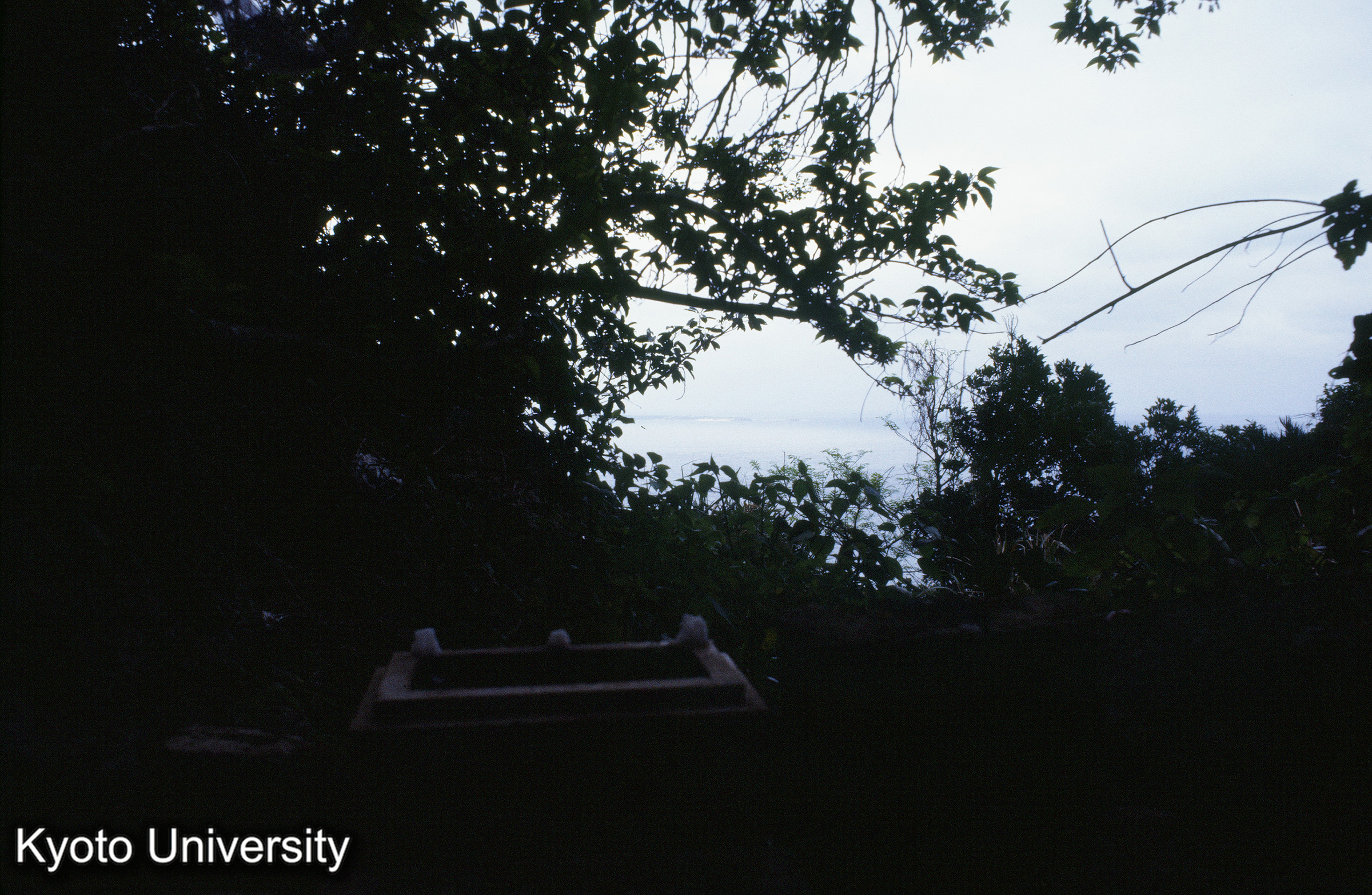 ［スライド］ (1)