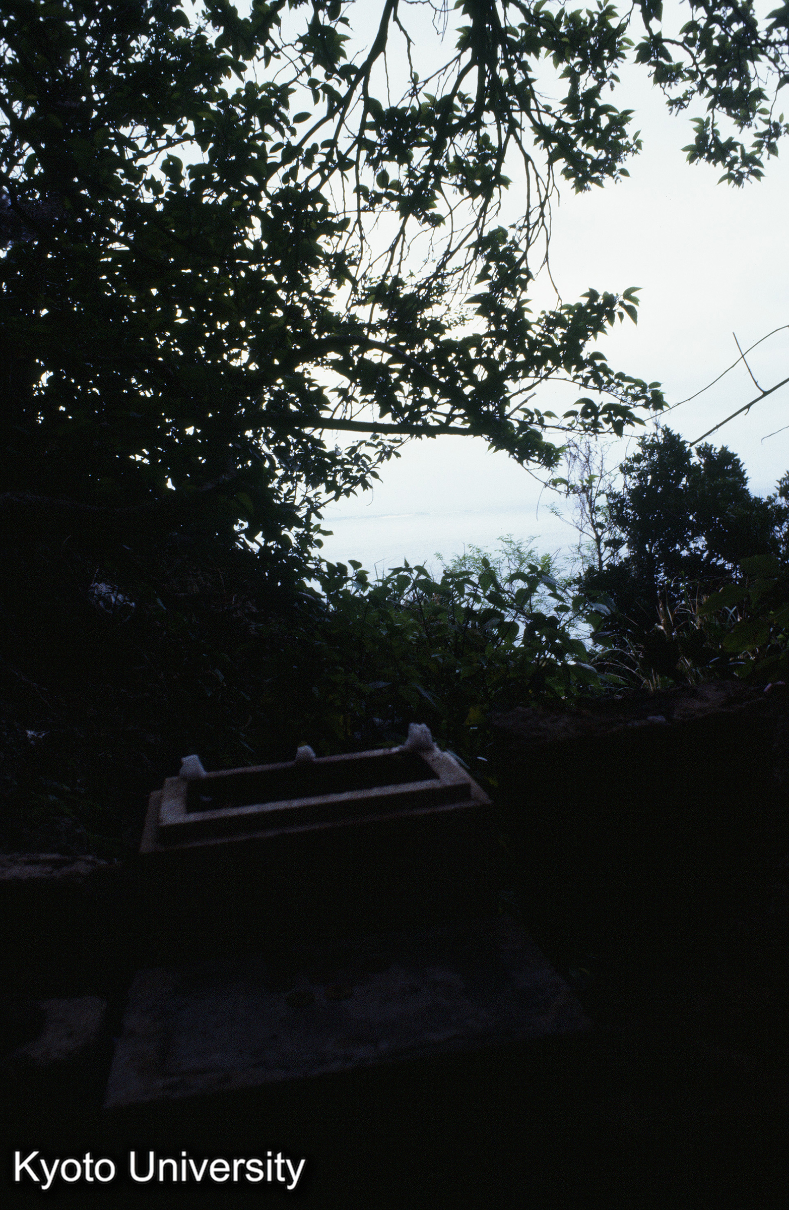 ［スライド］ (1)