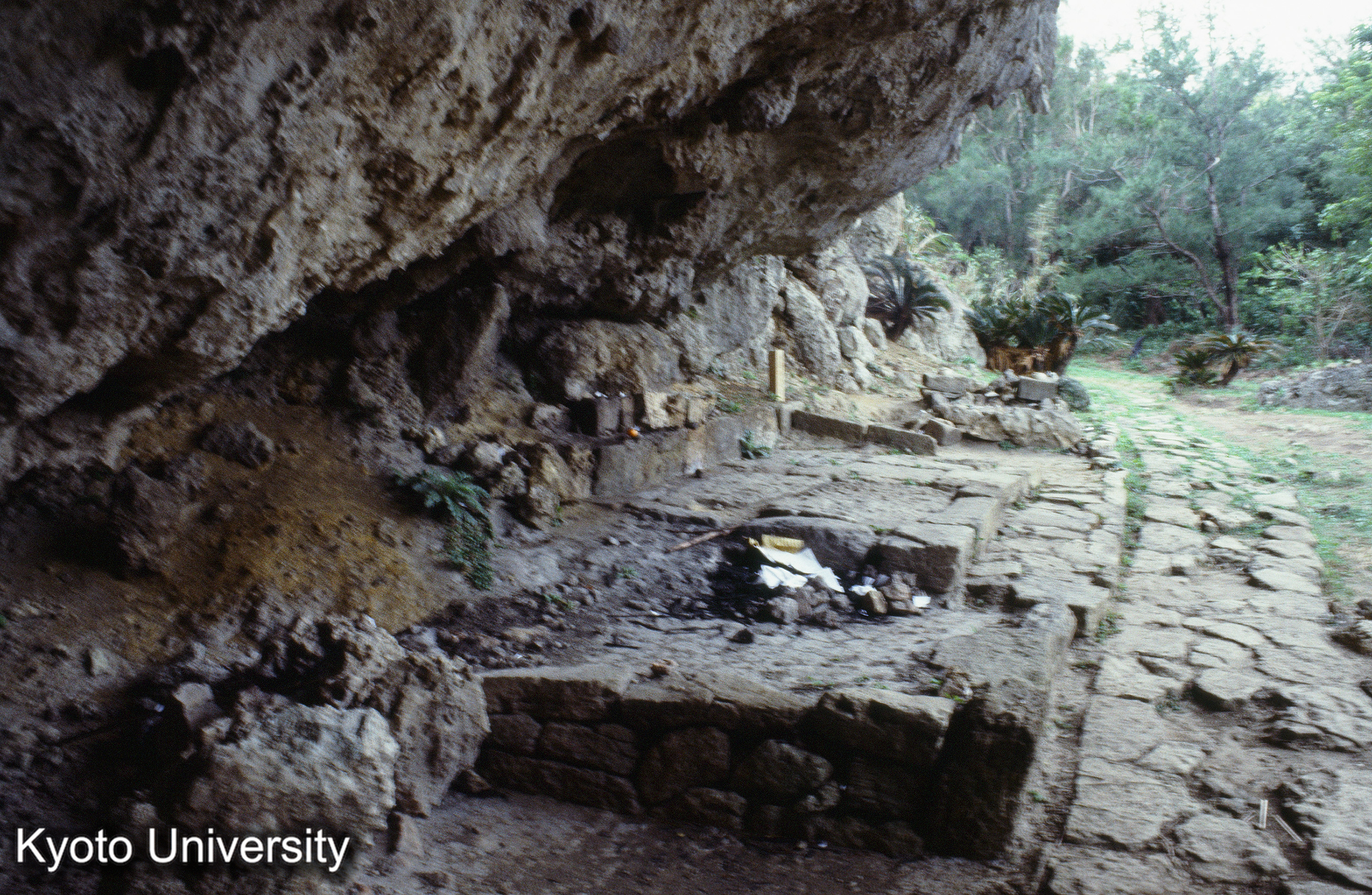 ［スライド］ (1)