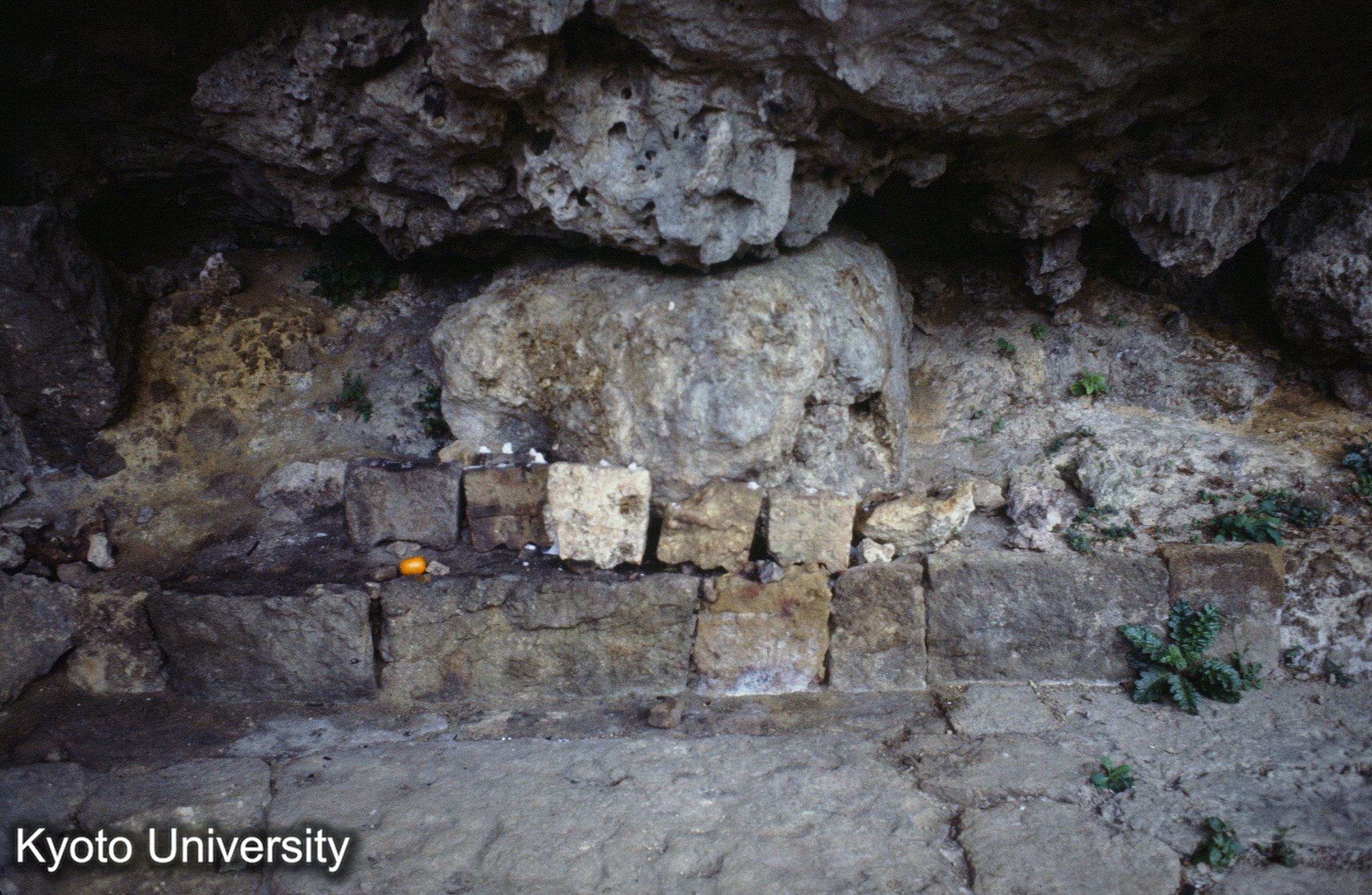 ［スライド］ (1)