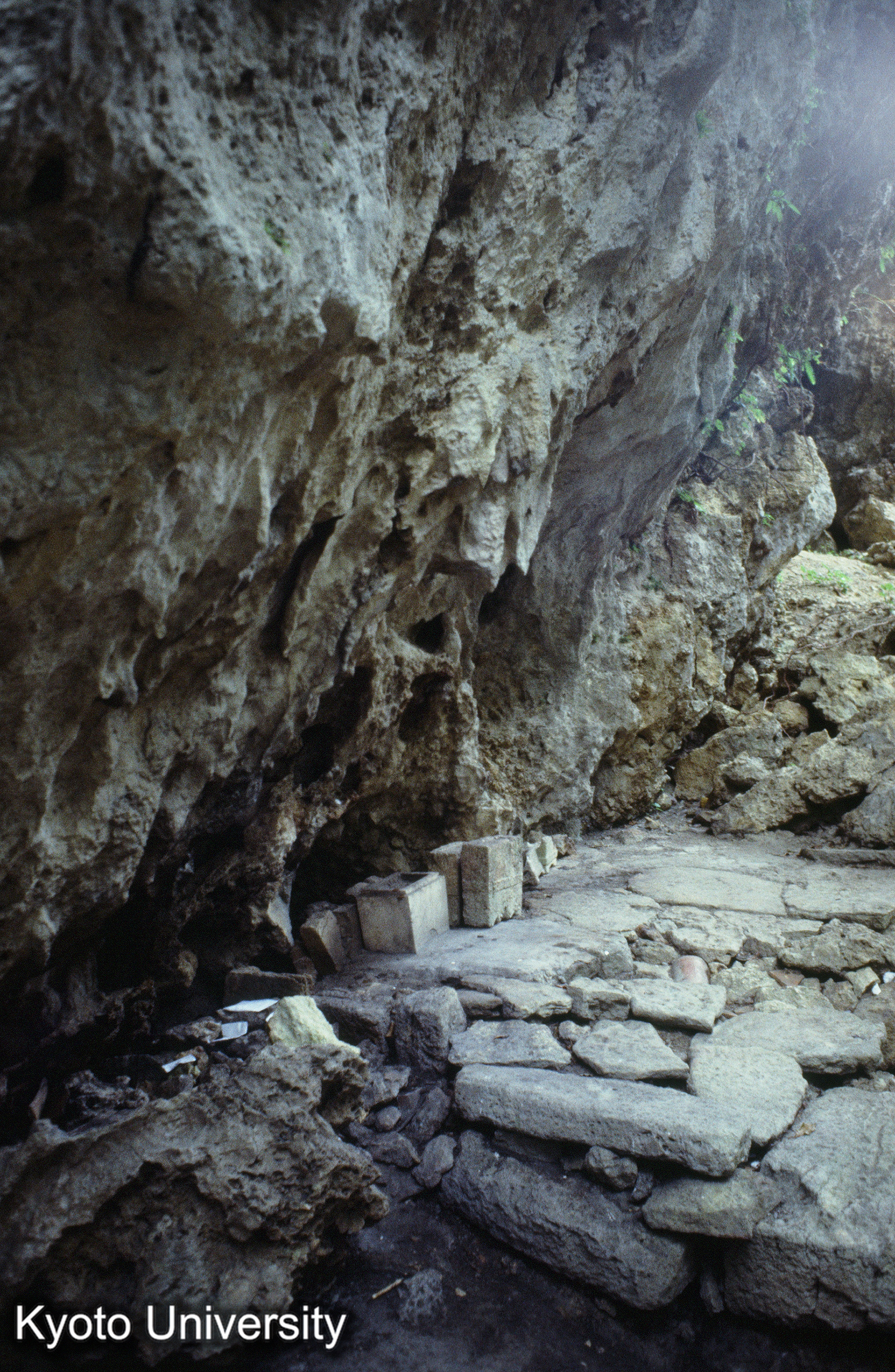 ［スライド］ (1)