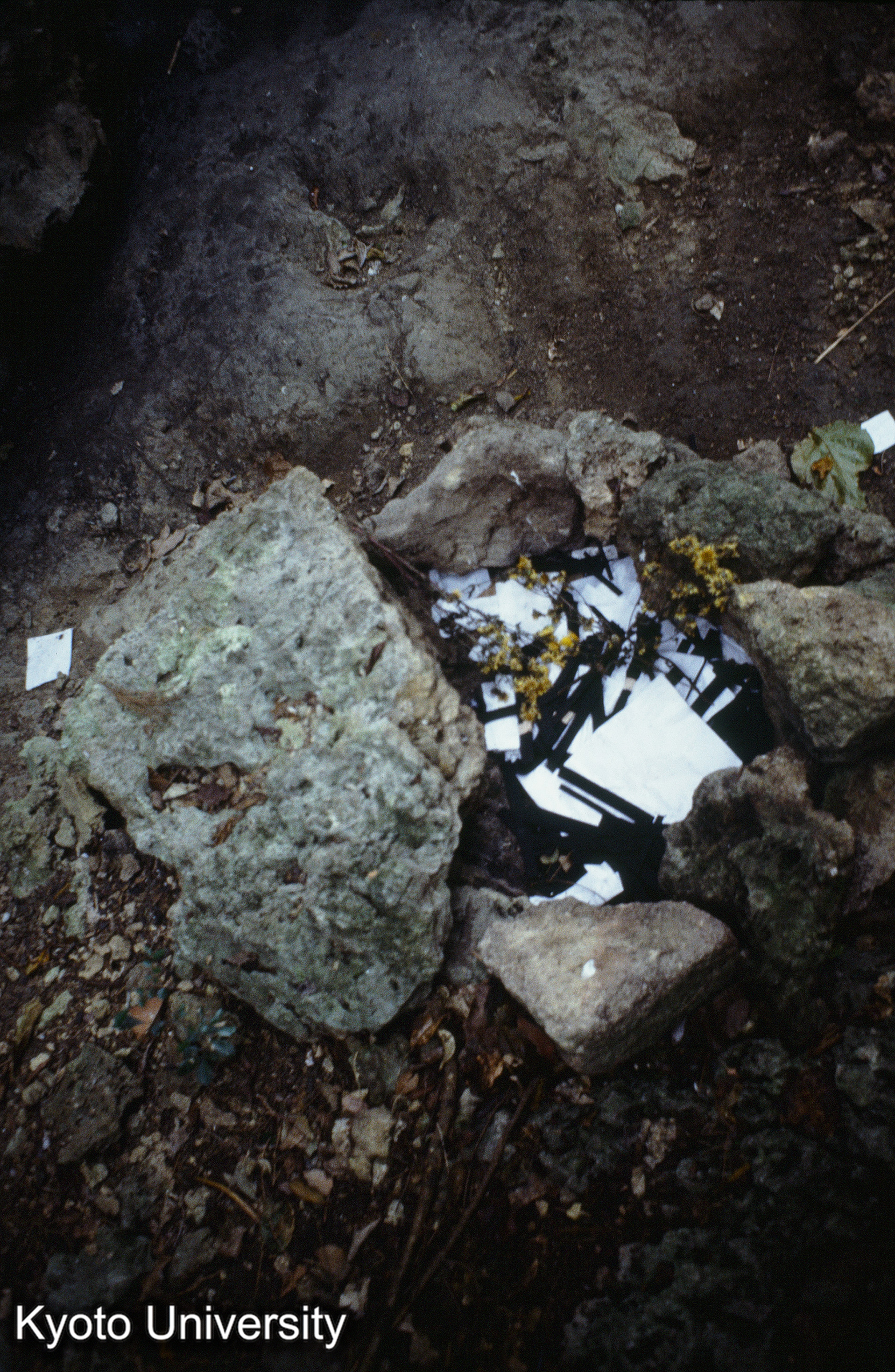 ［スライド］ (1)