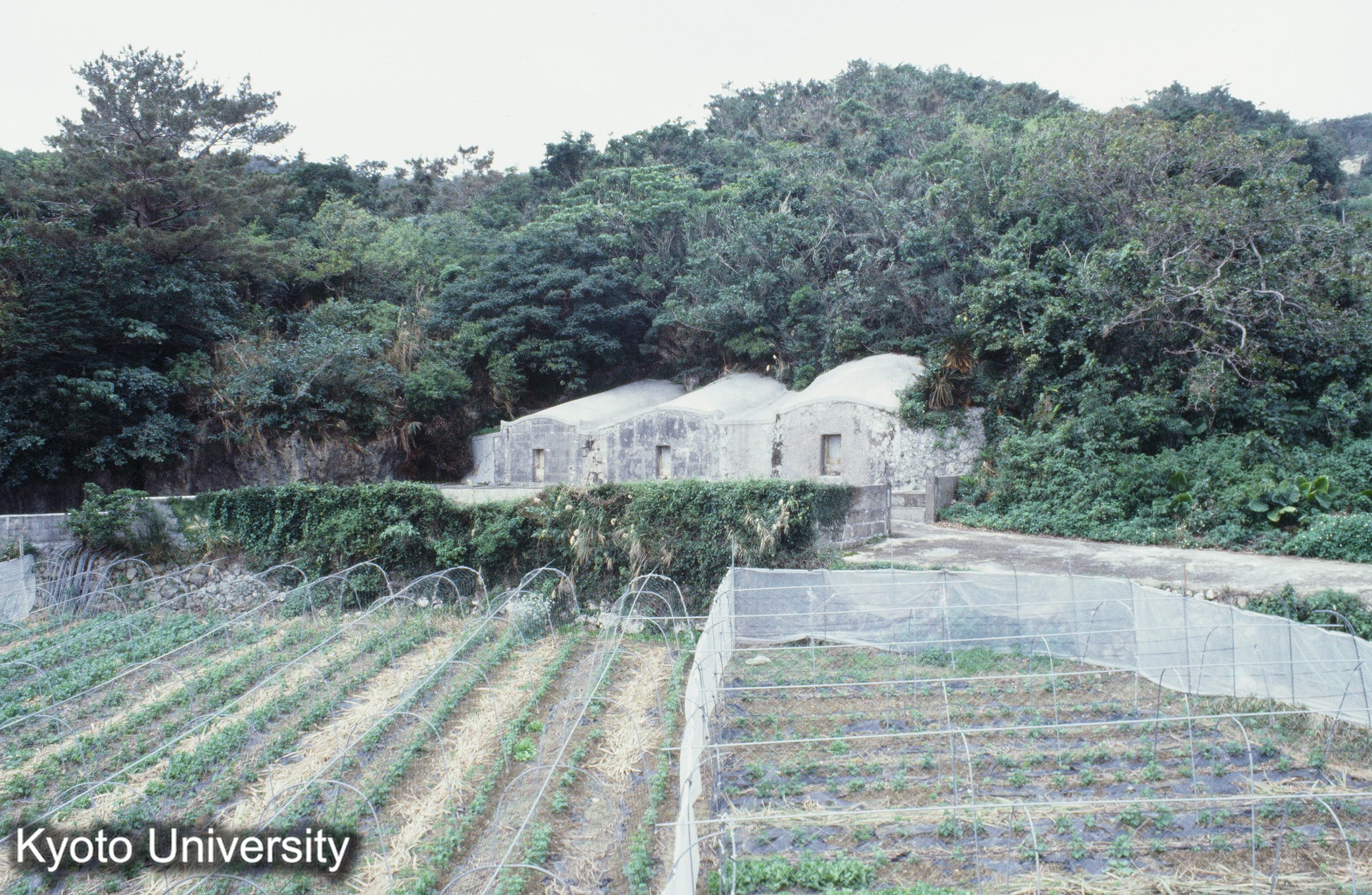 ［スライド］ (1)