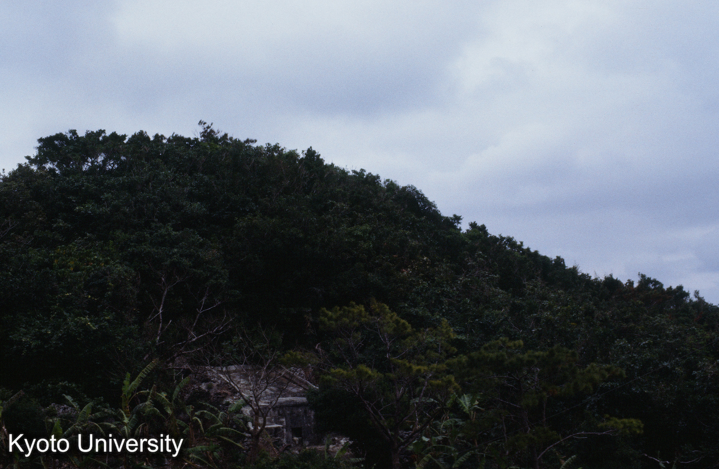 ［スライド］ (1)