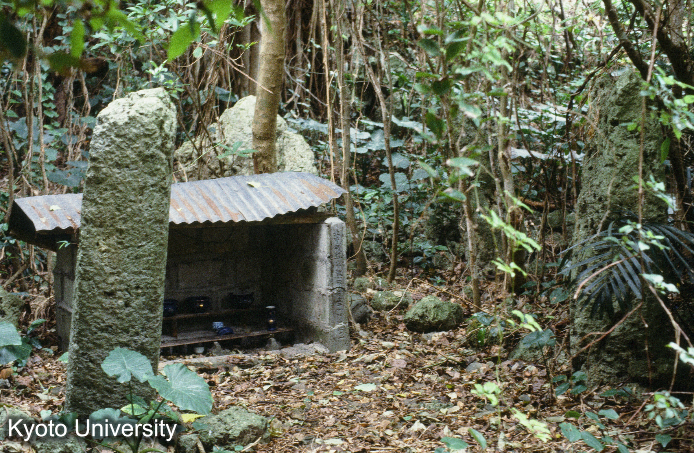 ［スライド］ (1)