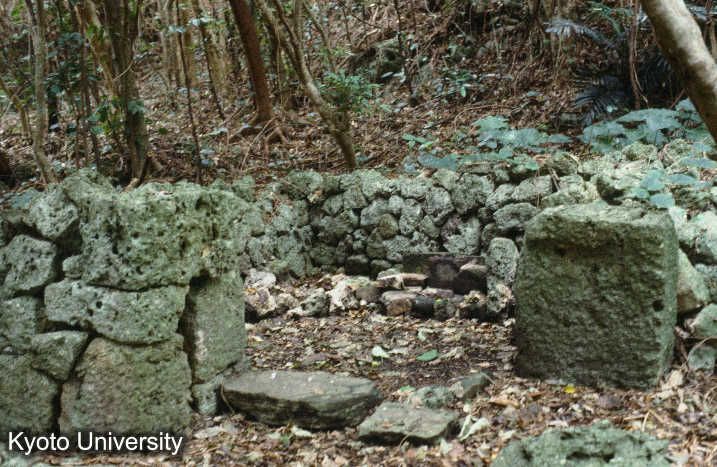 ［スライド］ (1)