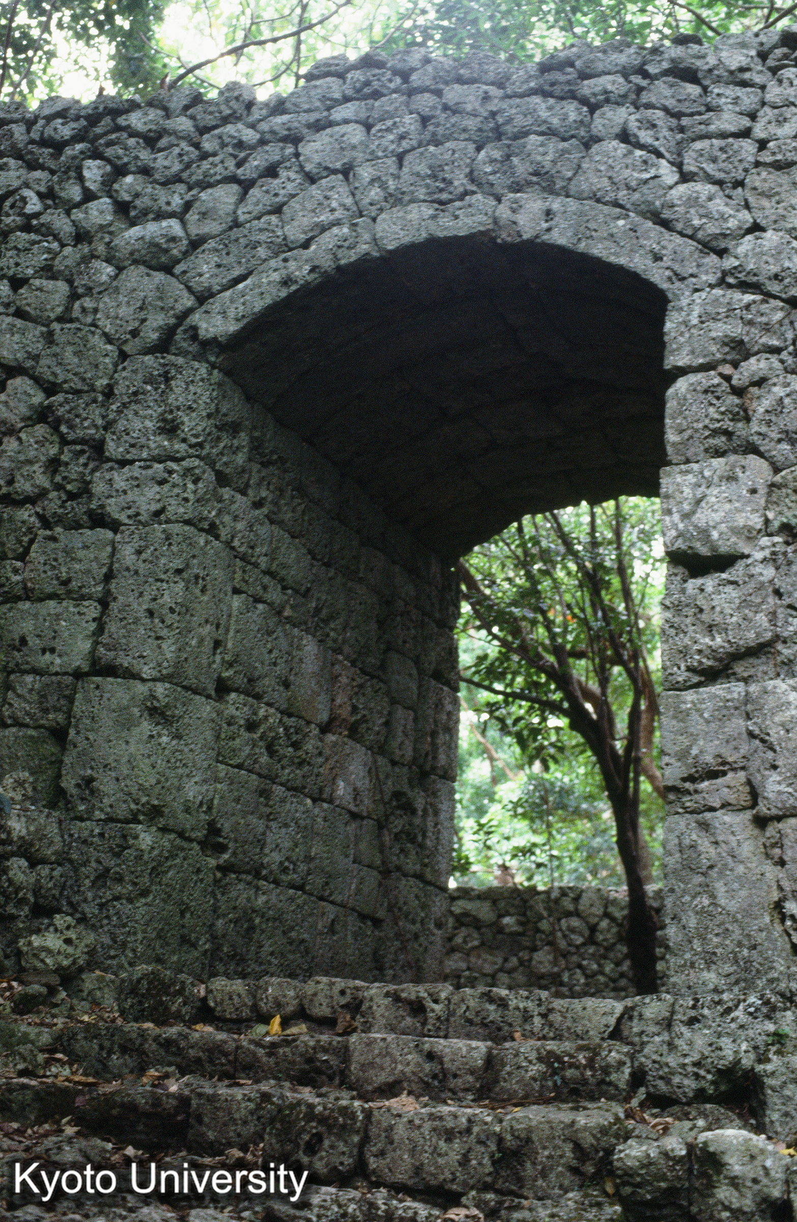 ［スライド］ (1)