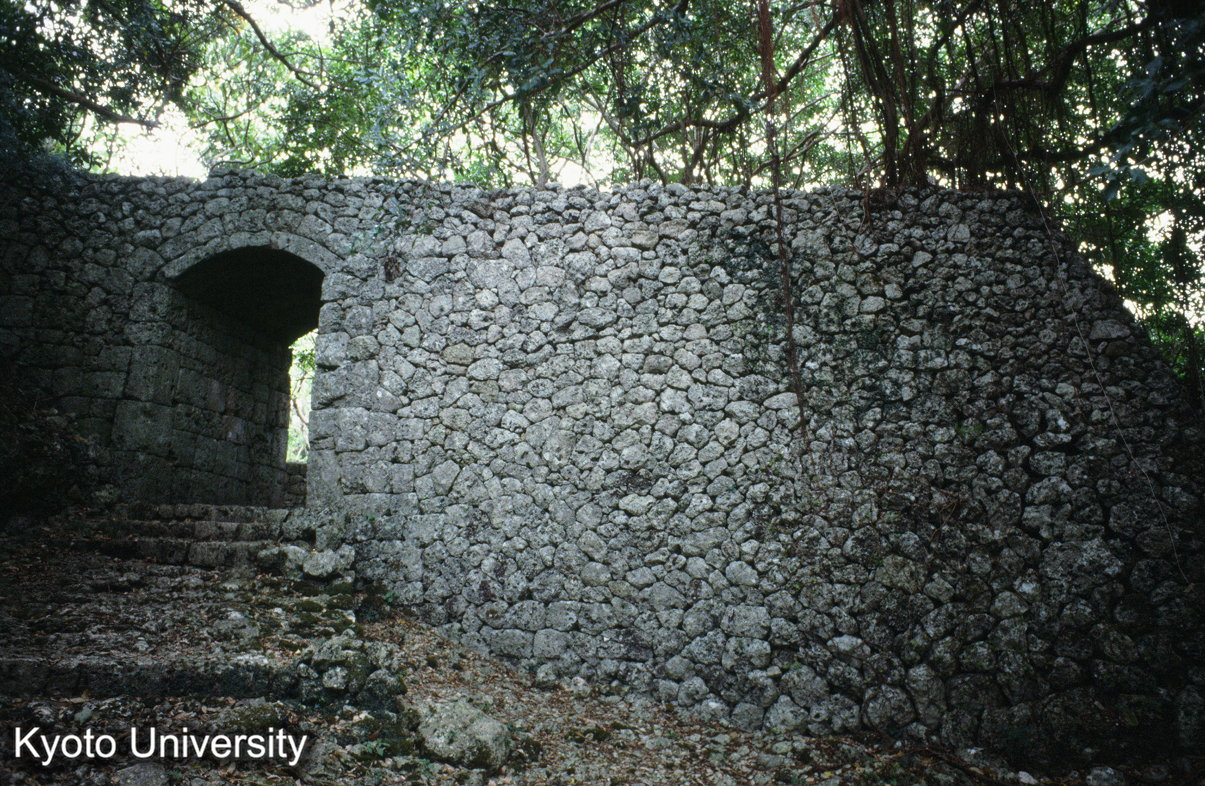 ［スライド］ (1)