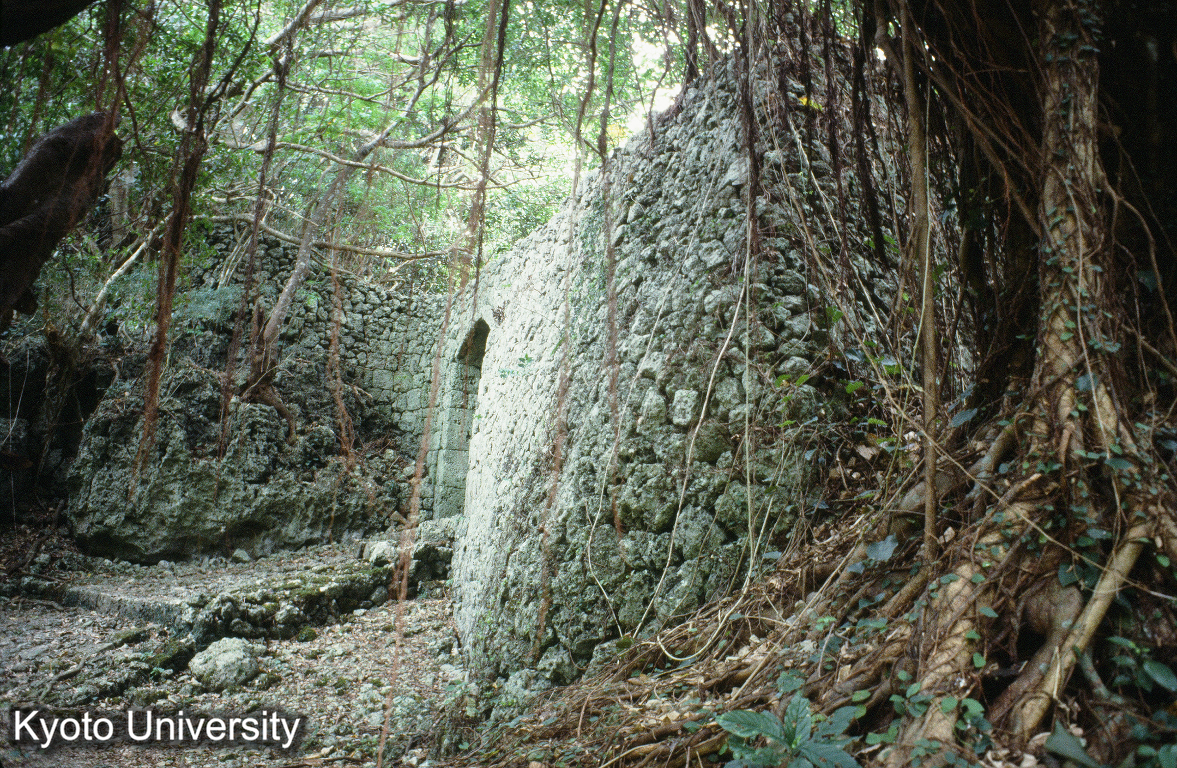 ［スライド］ (1)