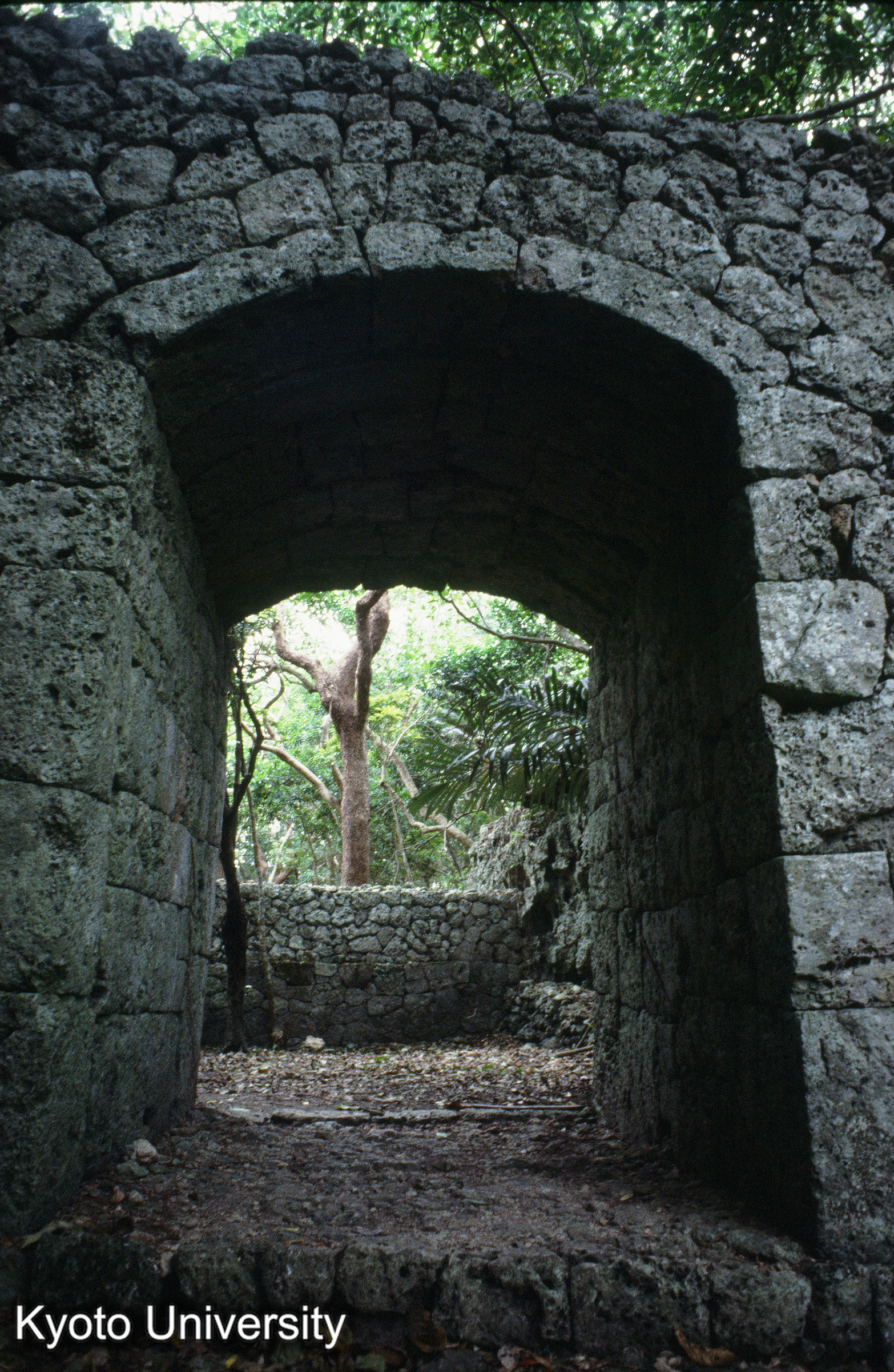 ［スライド］ (1)