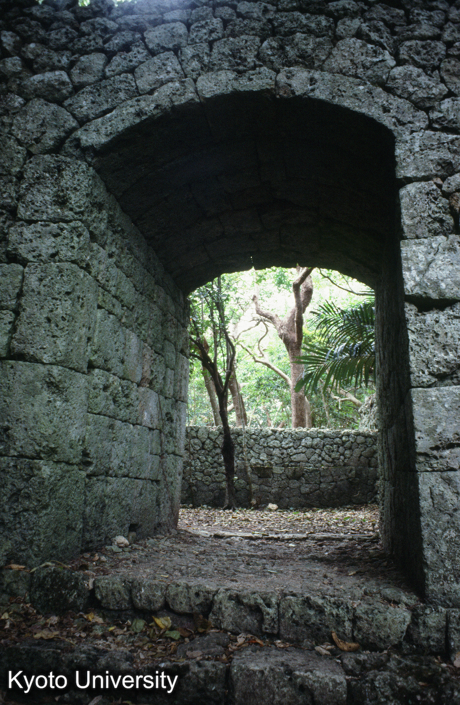 ［スライド］ (1)