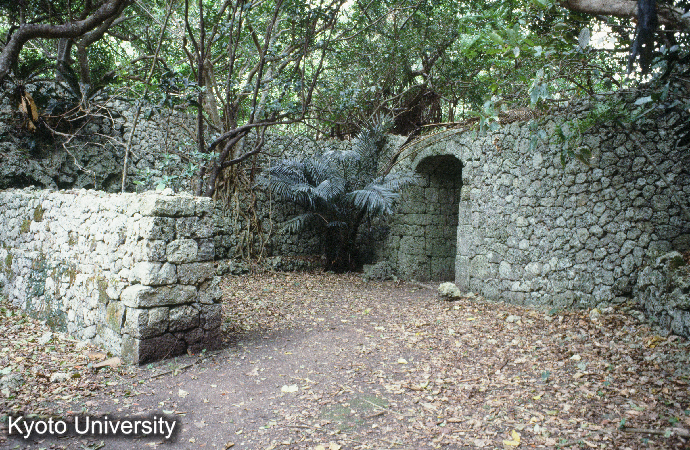 ［スライド］ (1)