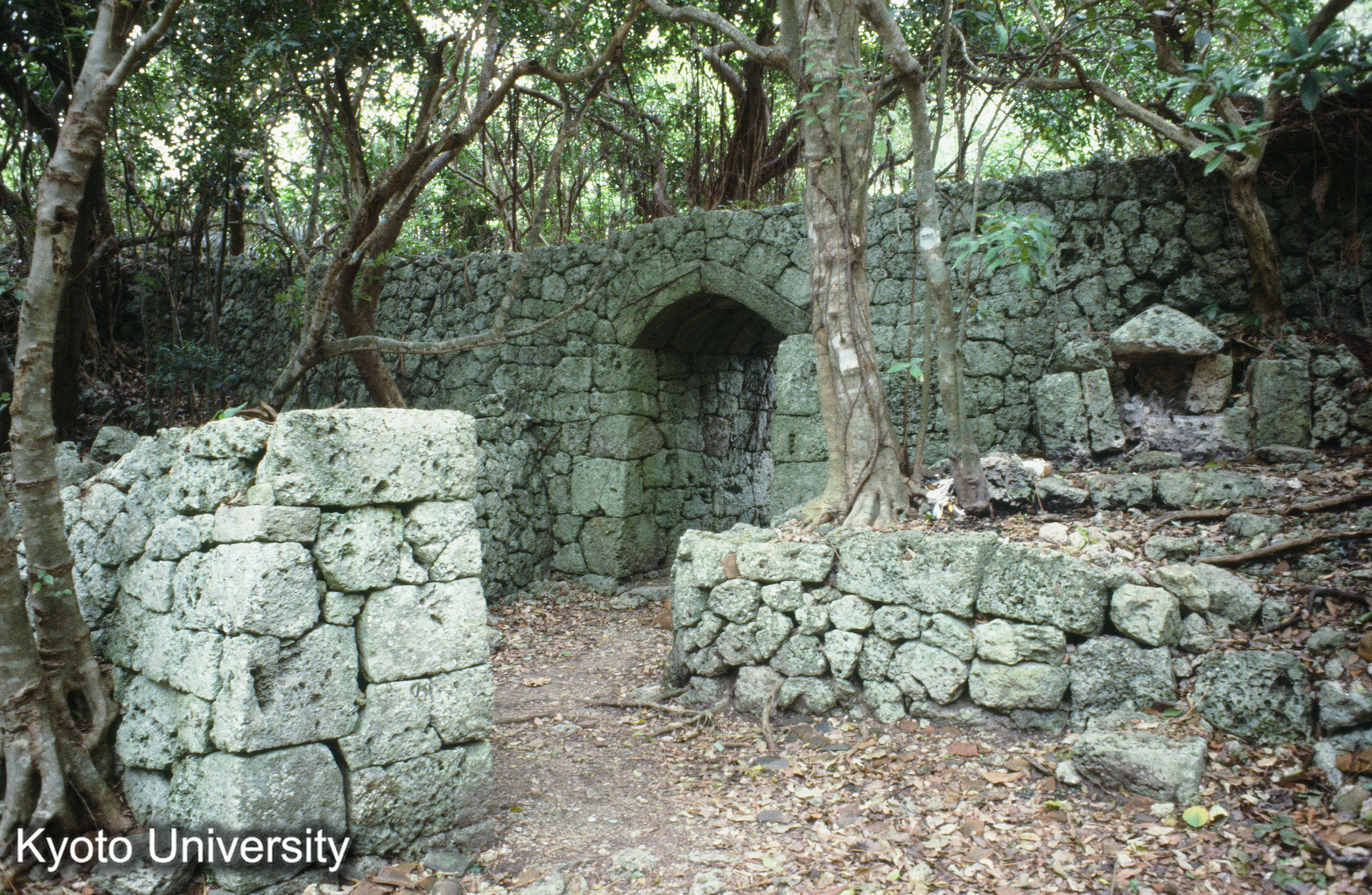 ［スライド］ (1)