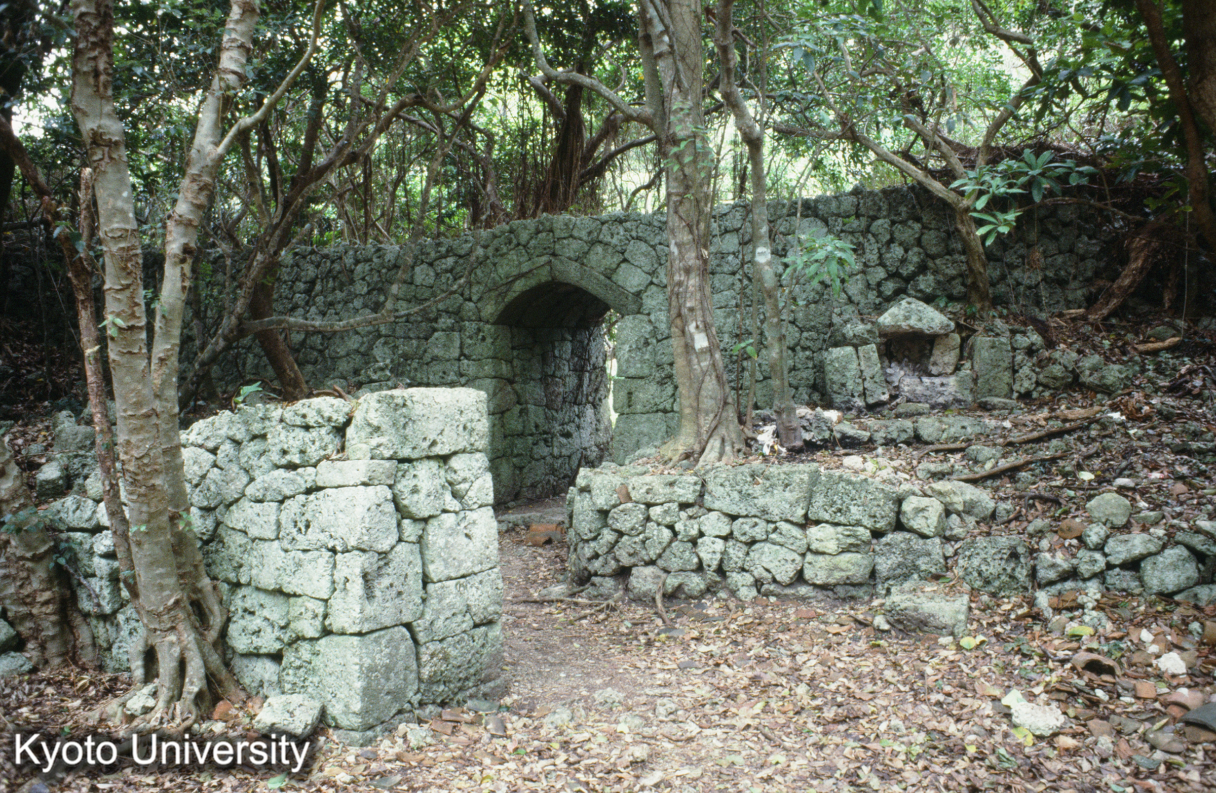 ［スライド］ (1)