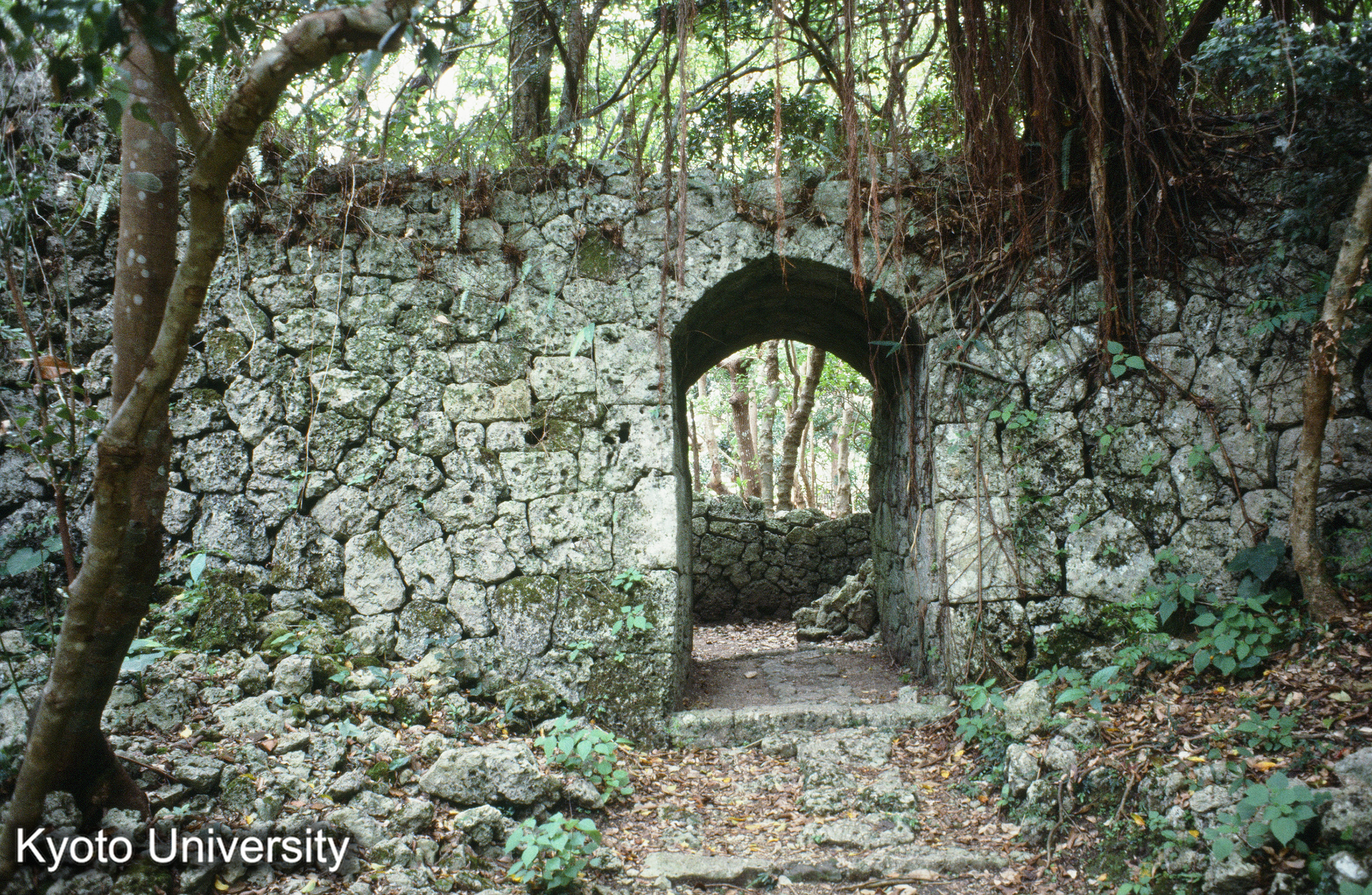 ［スライド］ (1)