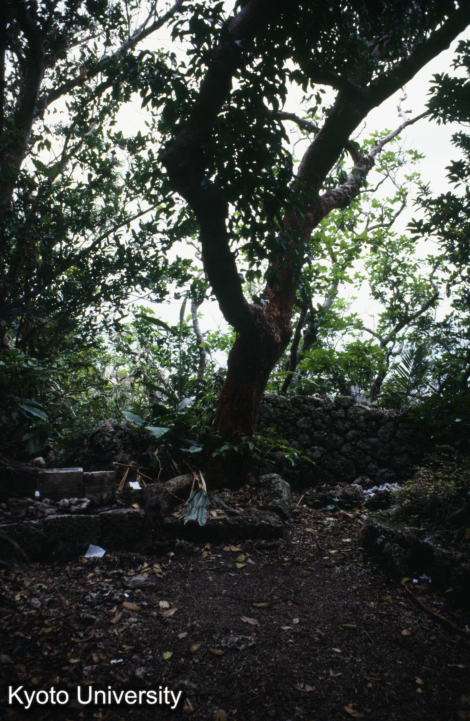 ［スライド］ (1)