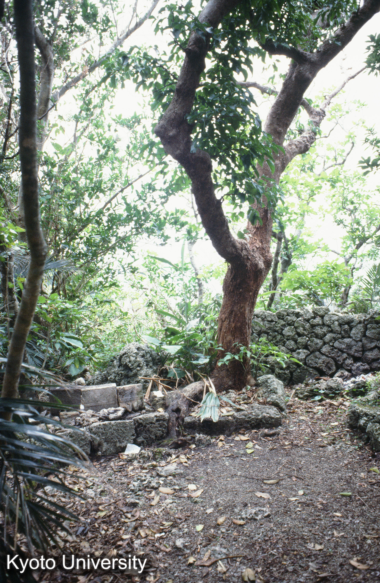 ［スライド］ (1)