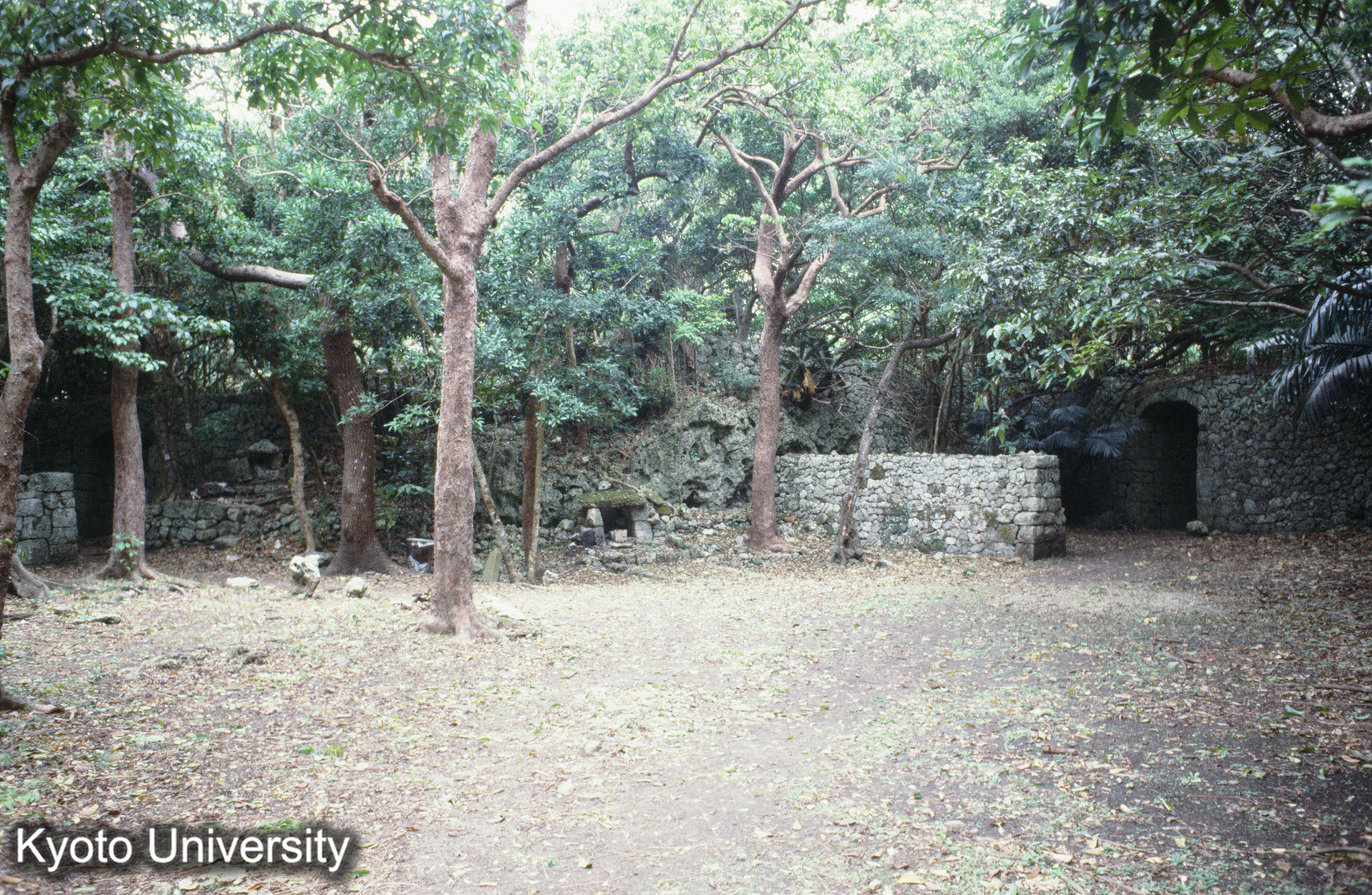 ［スライド］ (1)