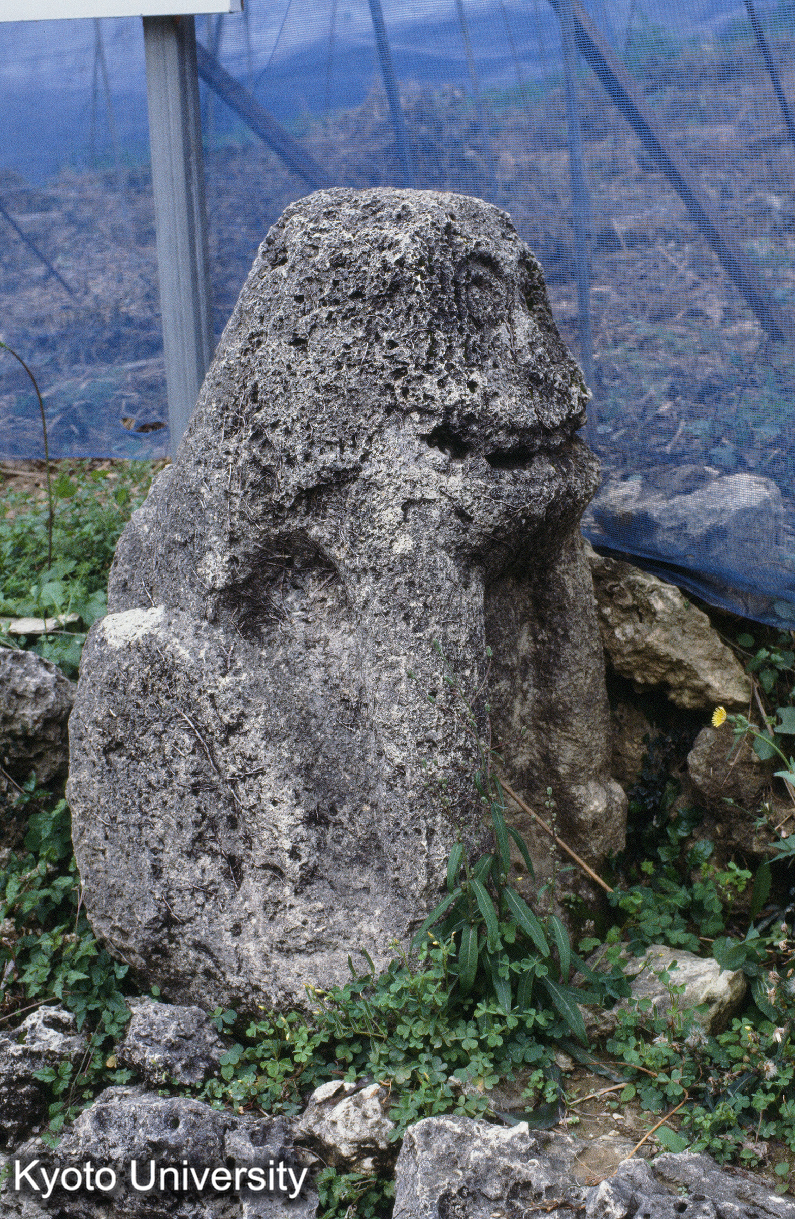 ［スライド］ (1)