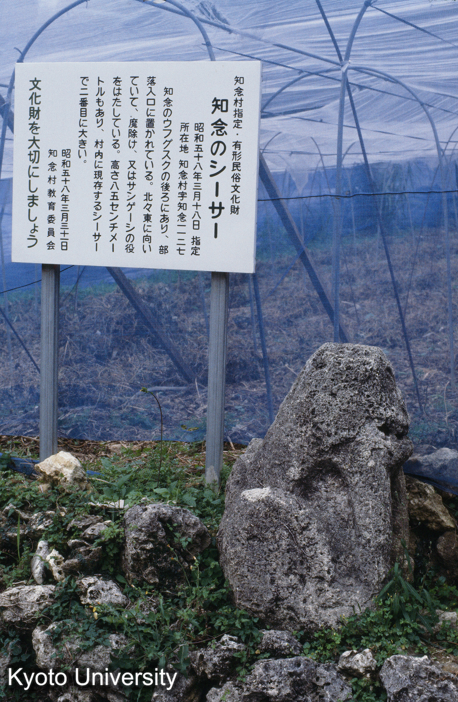 ［スライド］ (1)