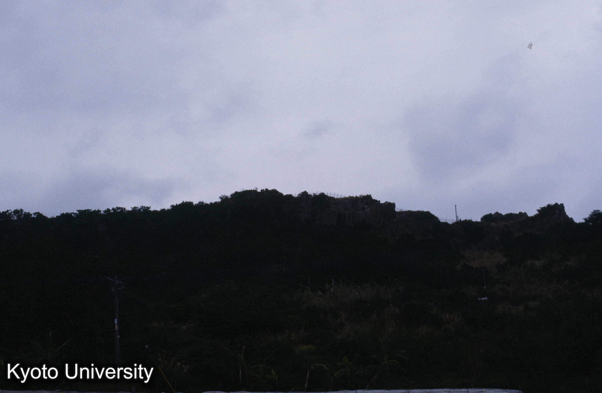 ［スライド］ (1)