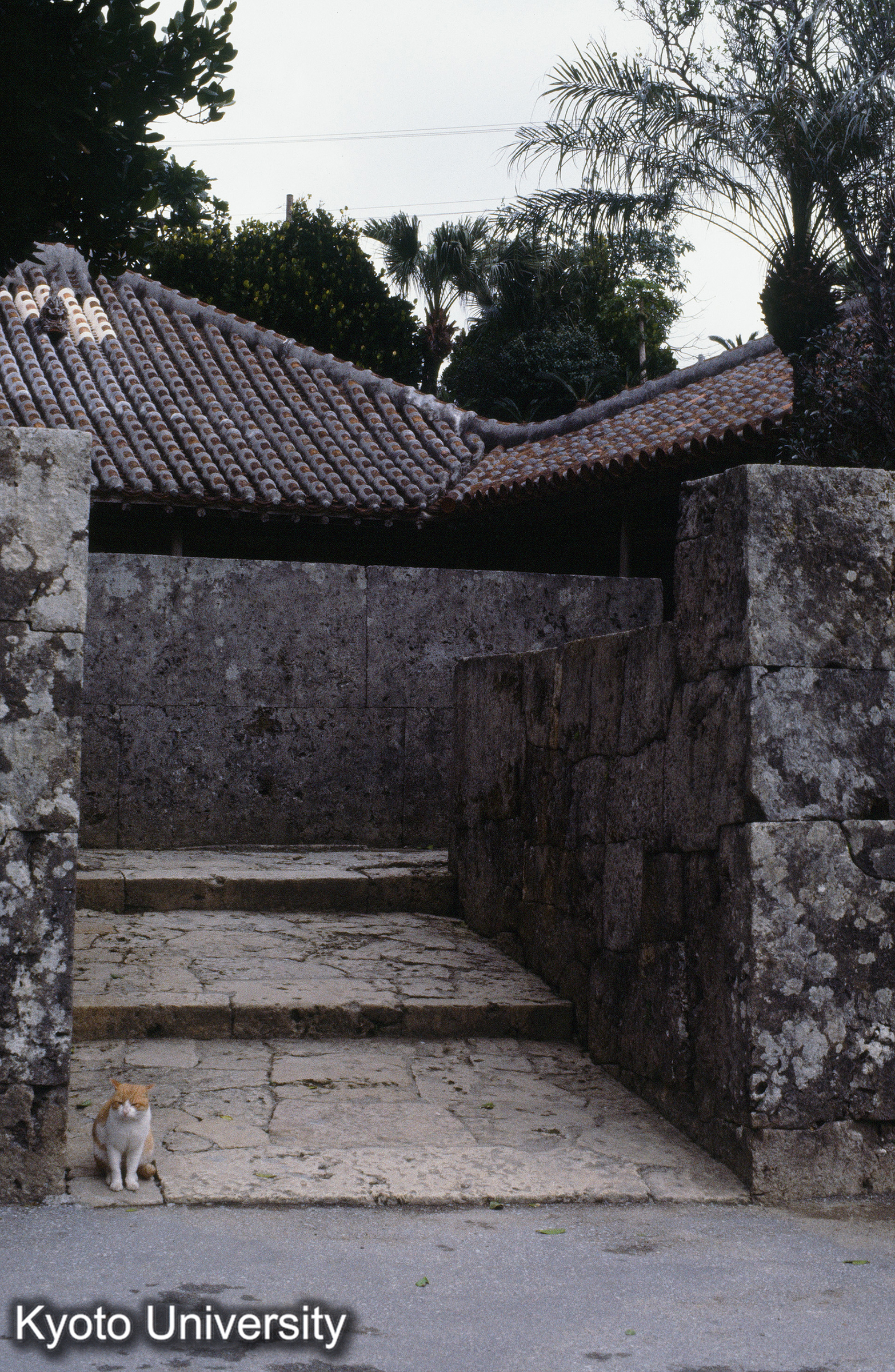 ［スライド］ (1)