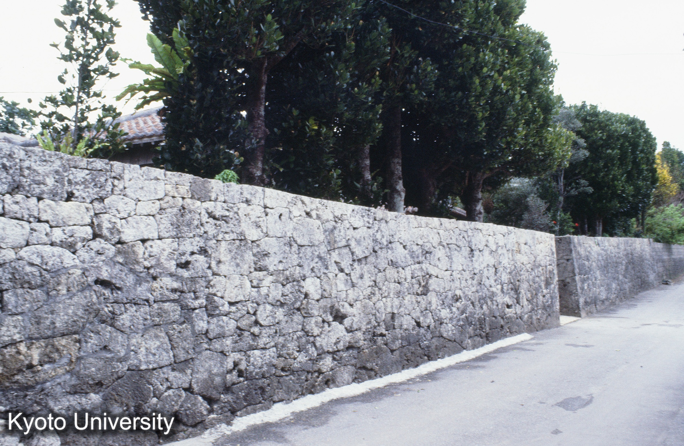 ［スライド］ (1)