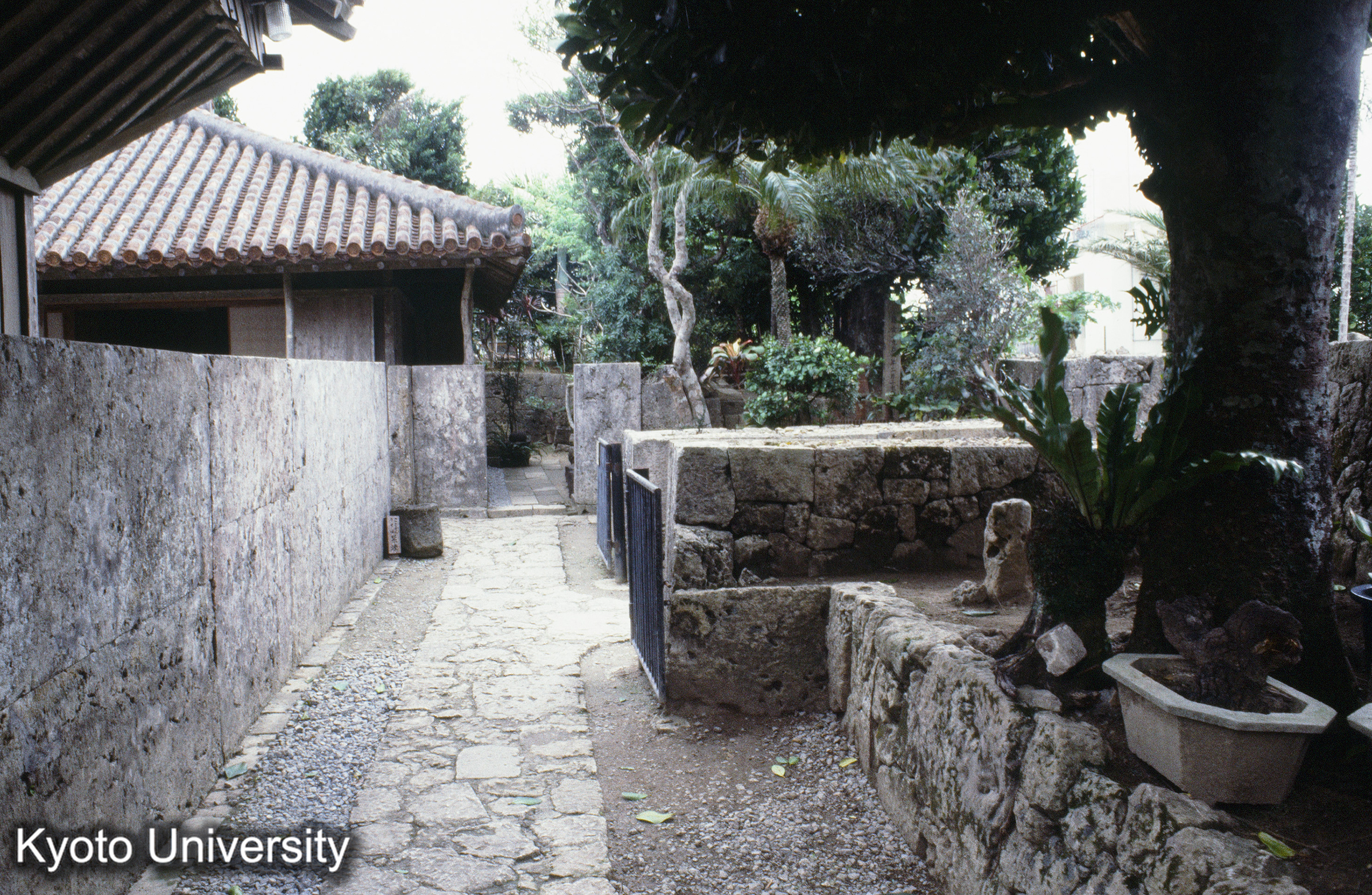 ［スライド］ (1)