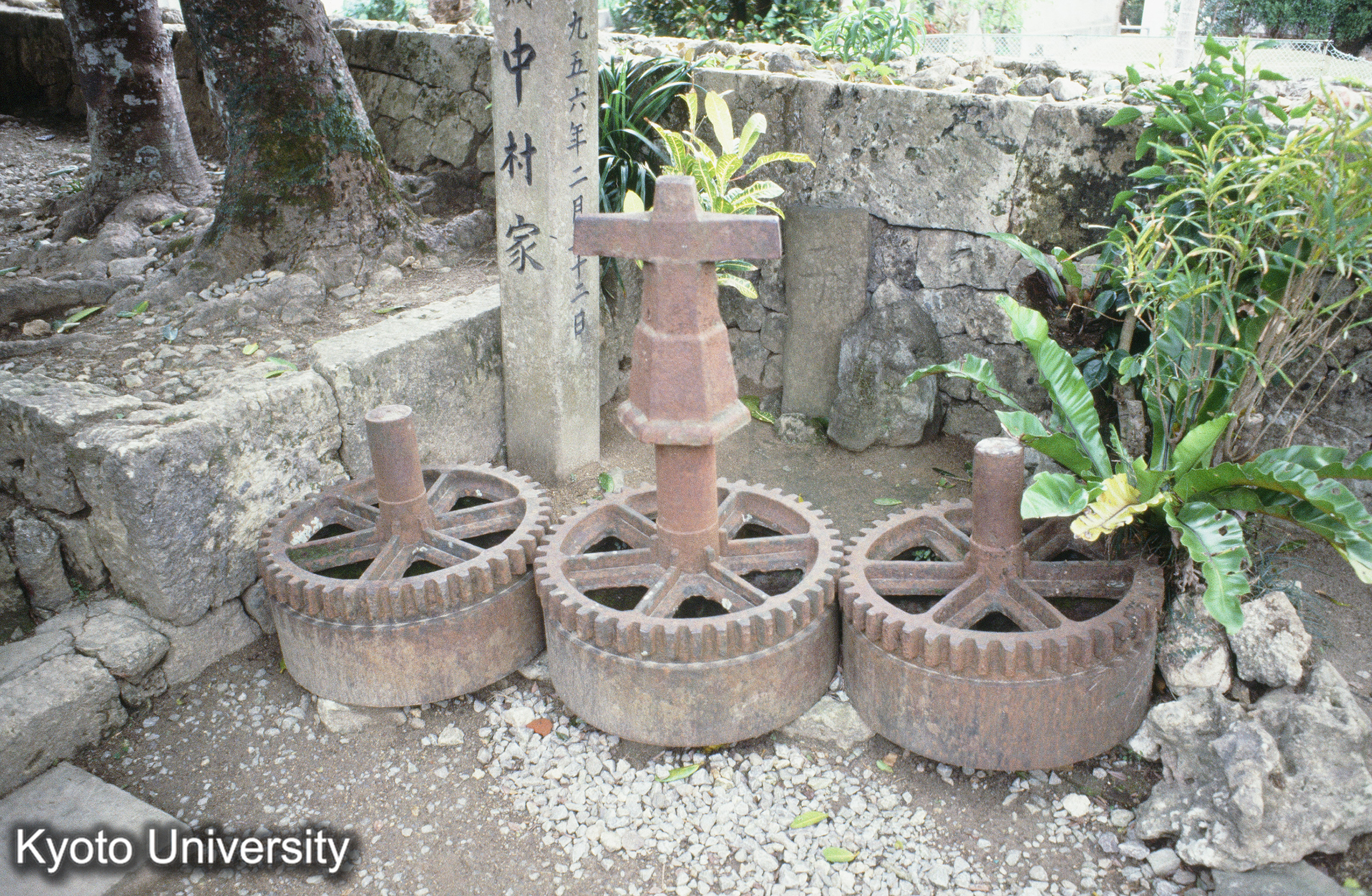 ［スライド］ (1)