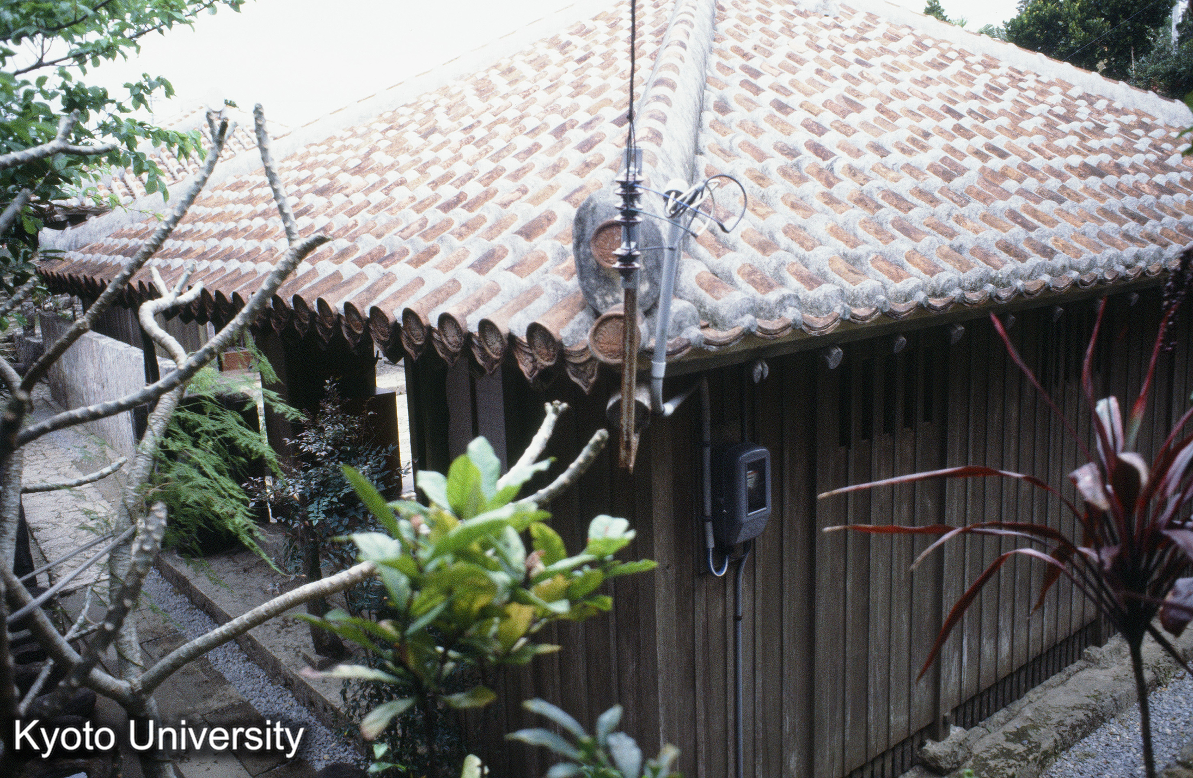 ［スライド］ (1)