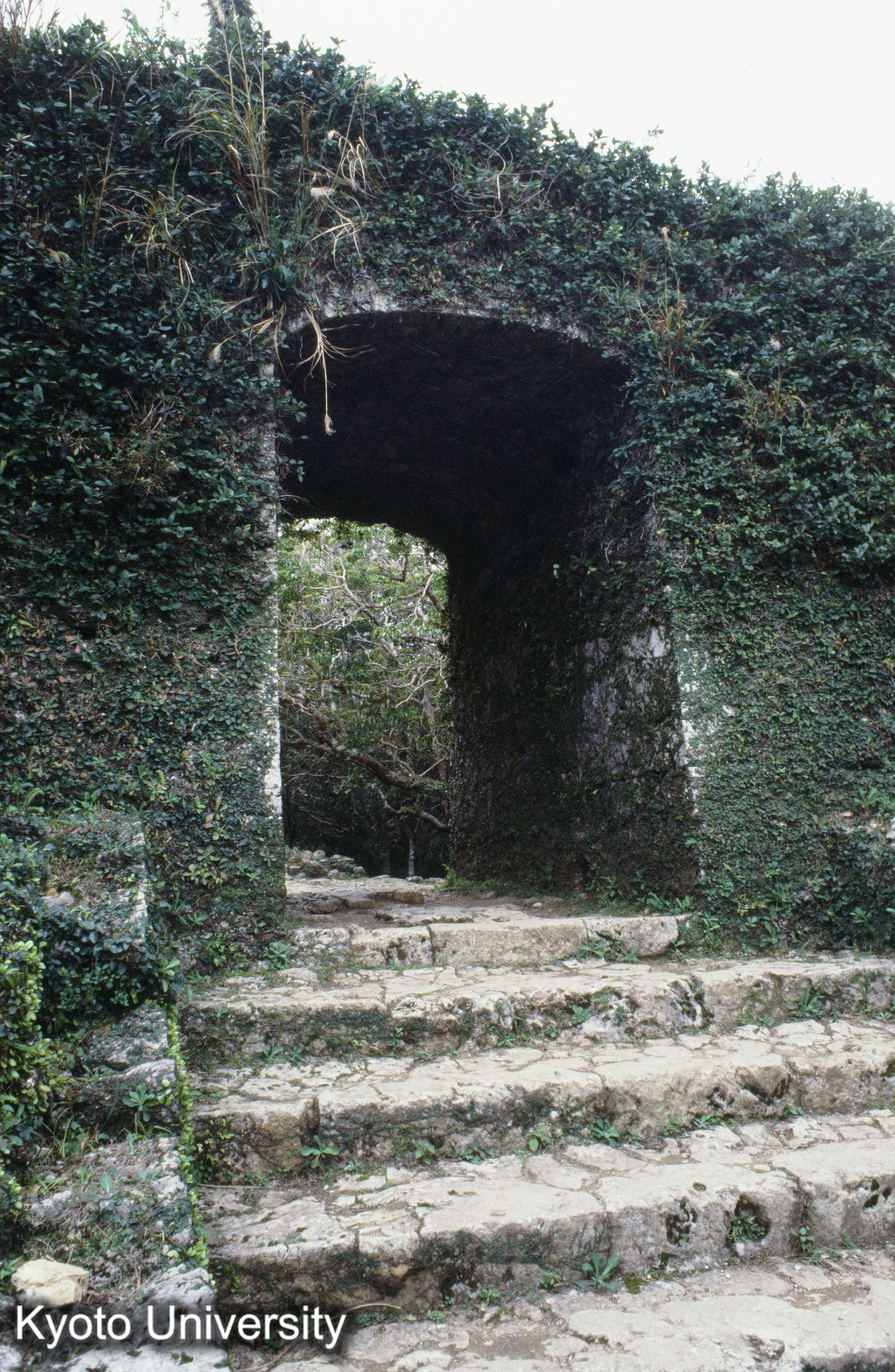 ［スライド］ (1)