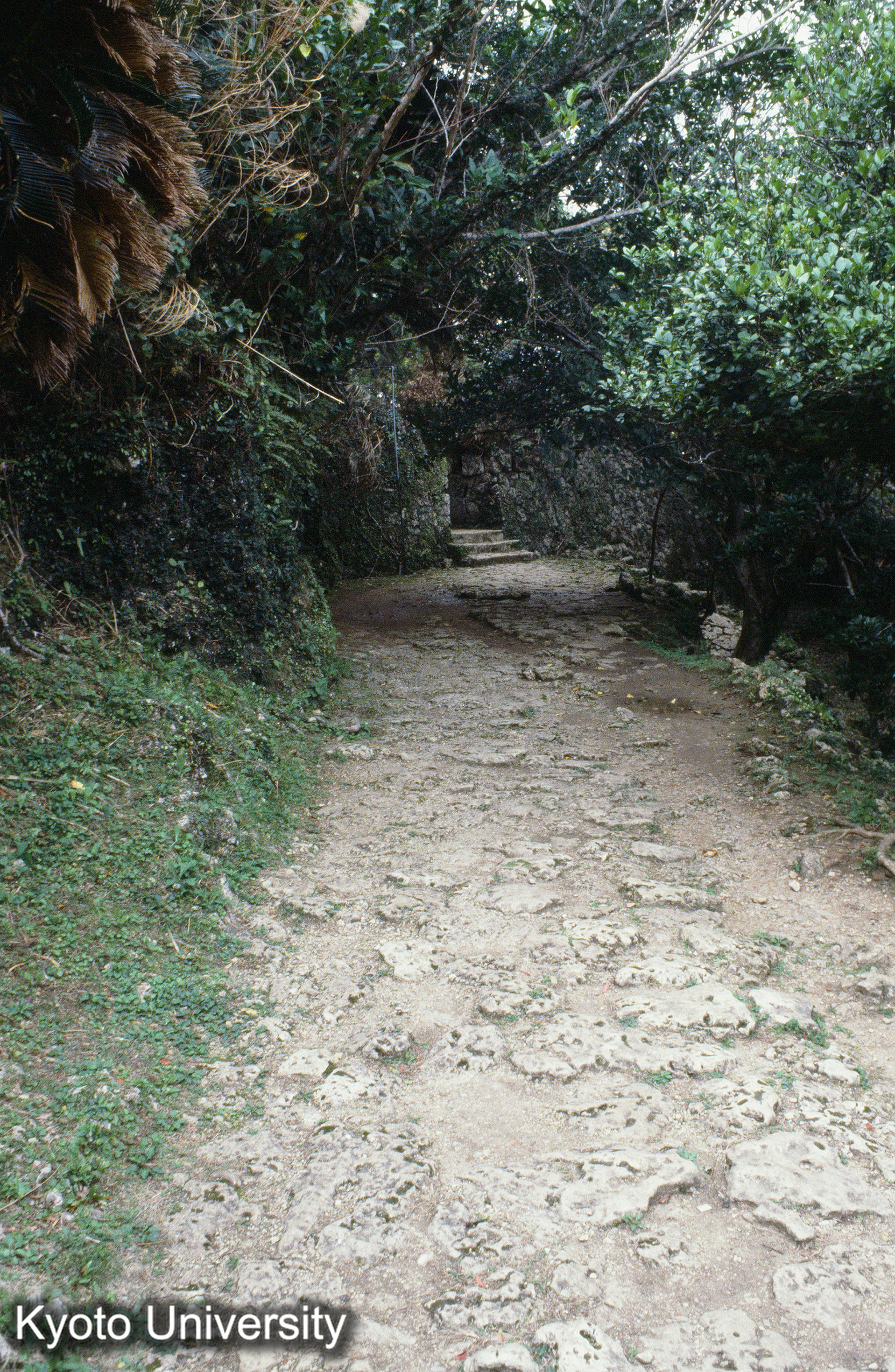 ［スライド］ (1)