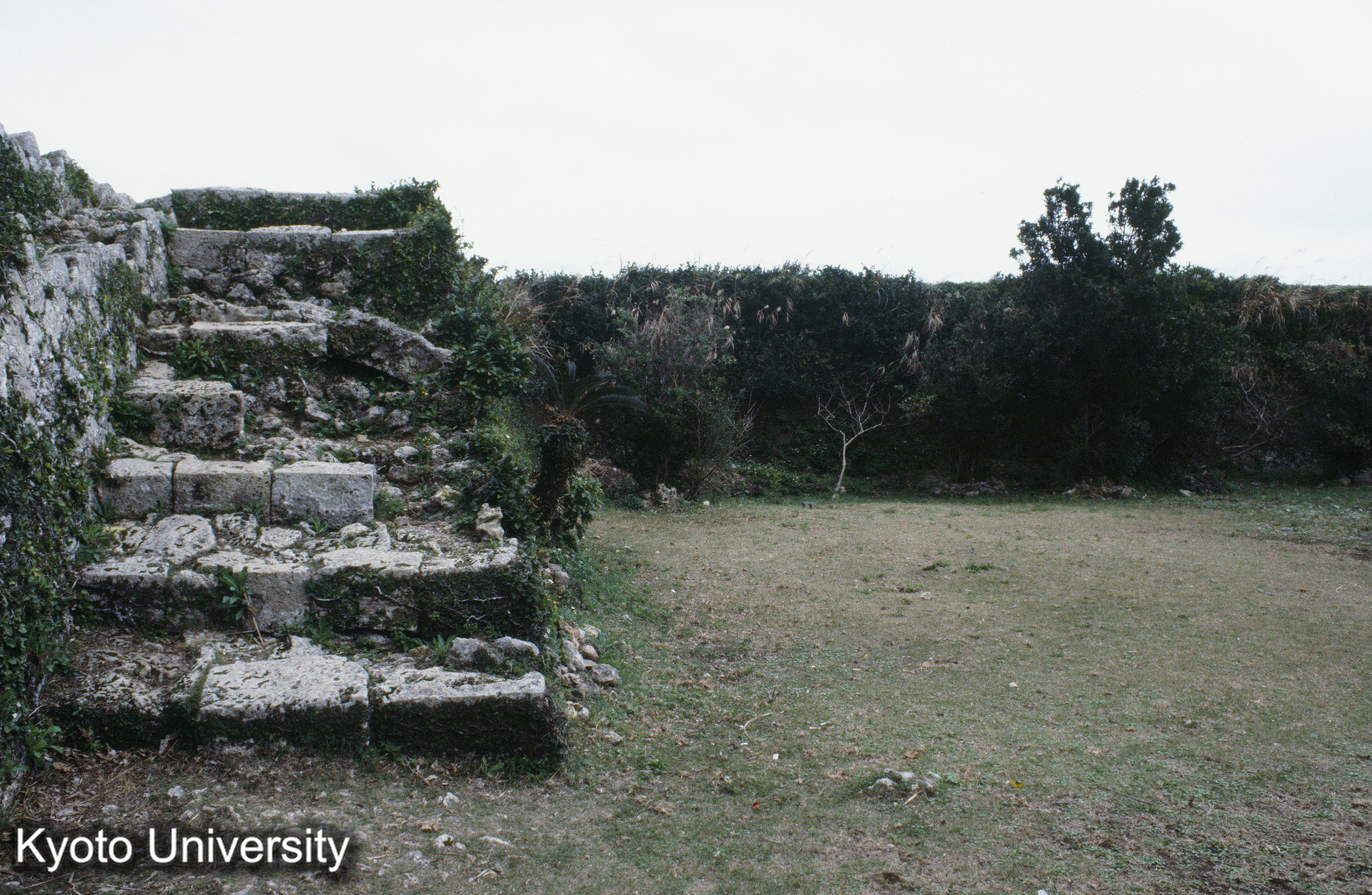 ［スライド］ (1)