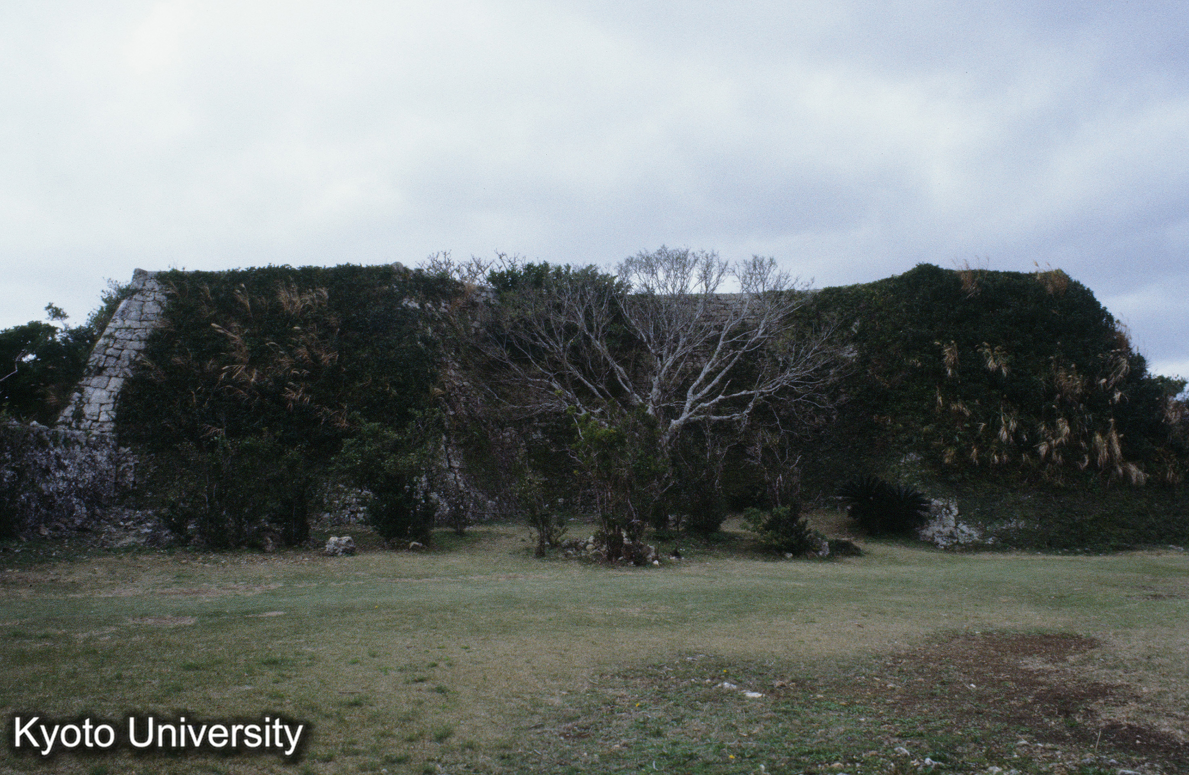 ［スライド］ (1)