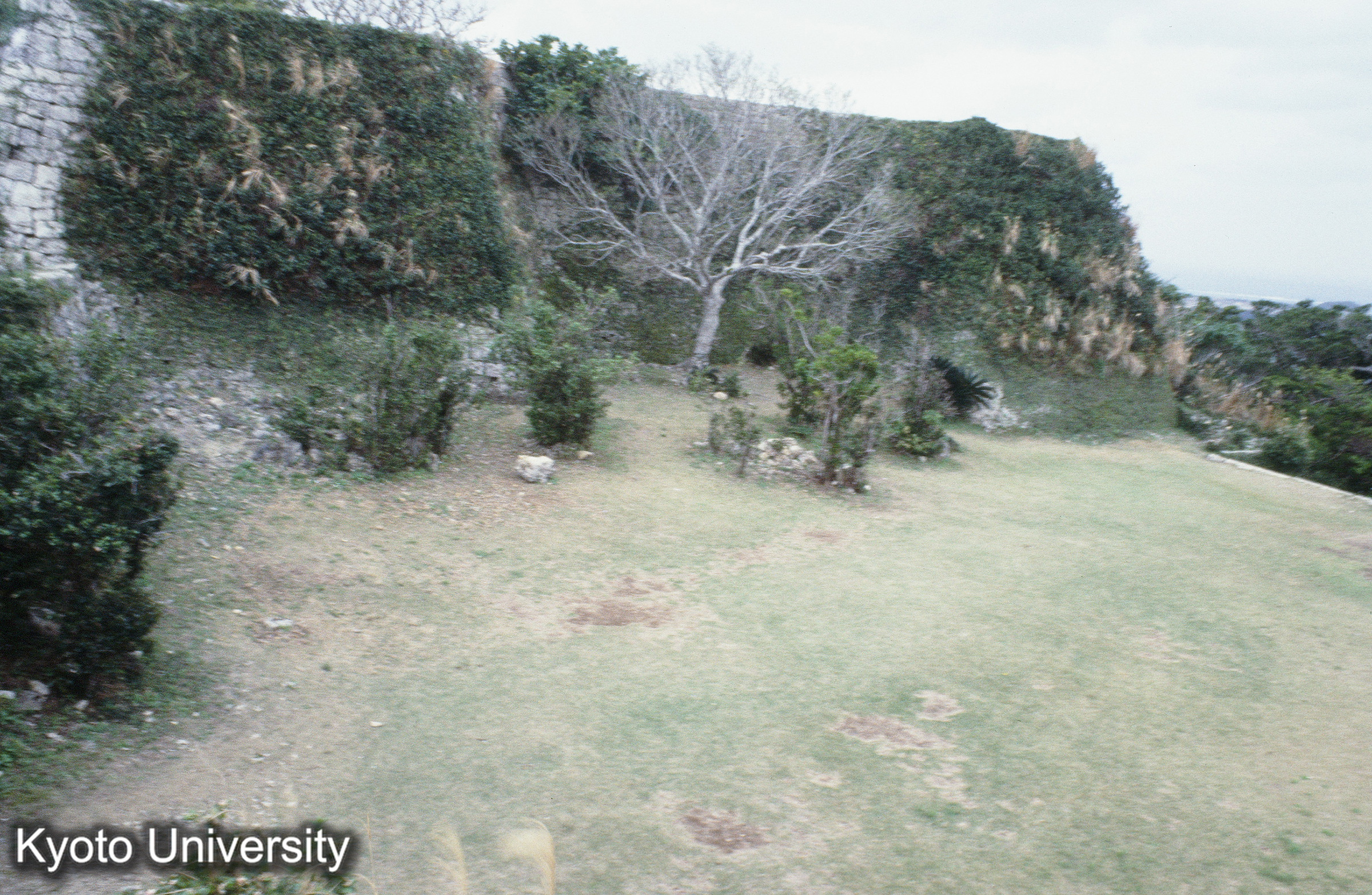 ［スライド］ (1)