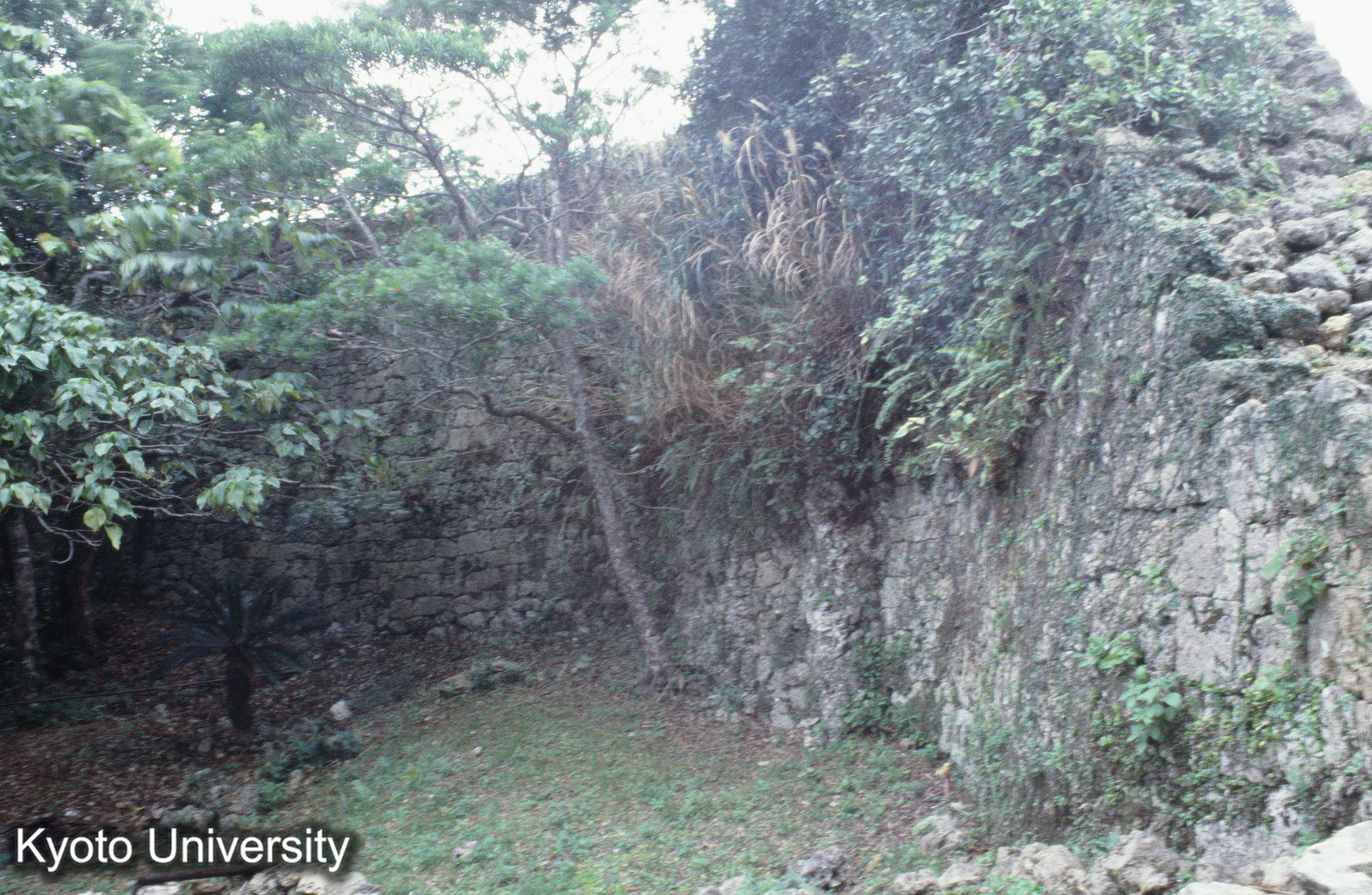 ［スライド］ (1)