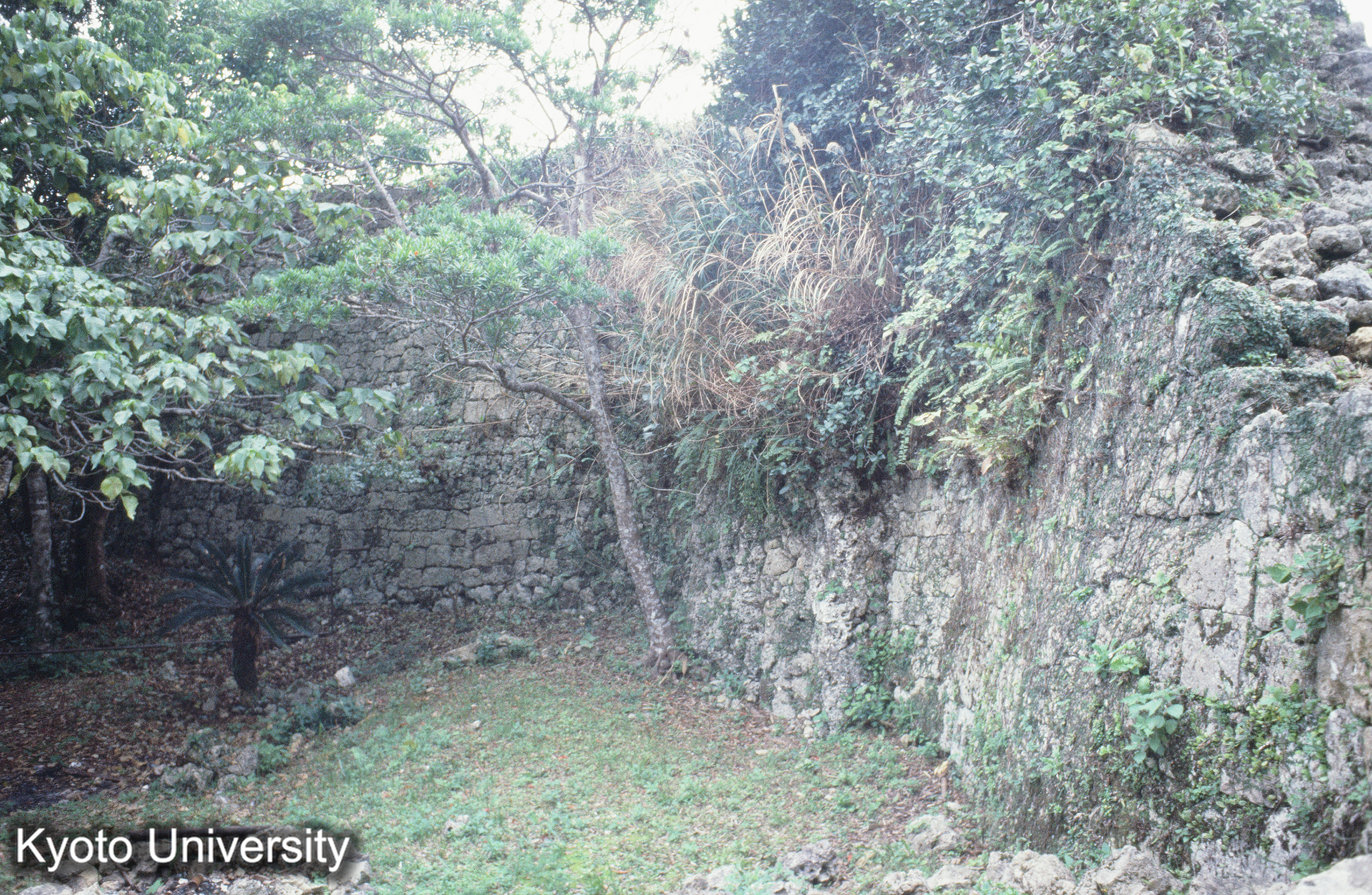 ［スライド］ (1)