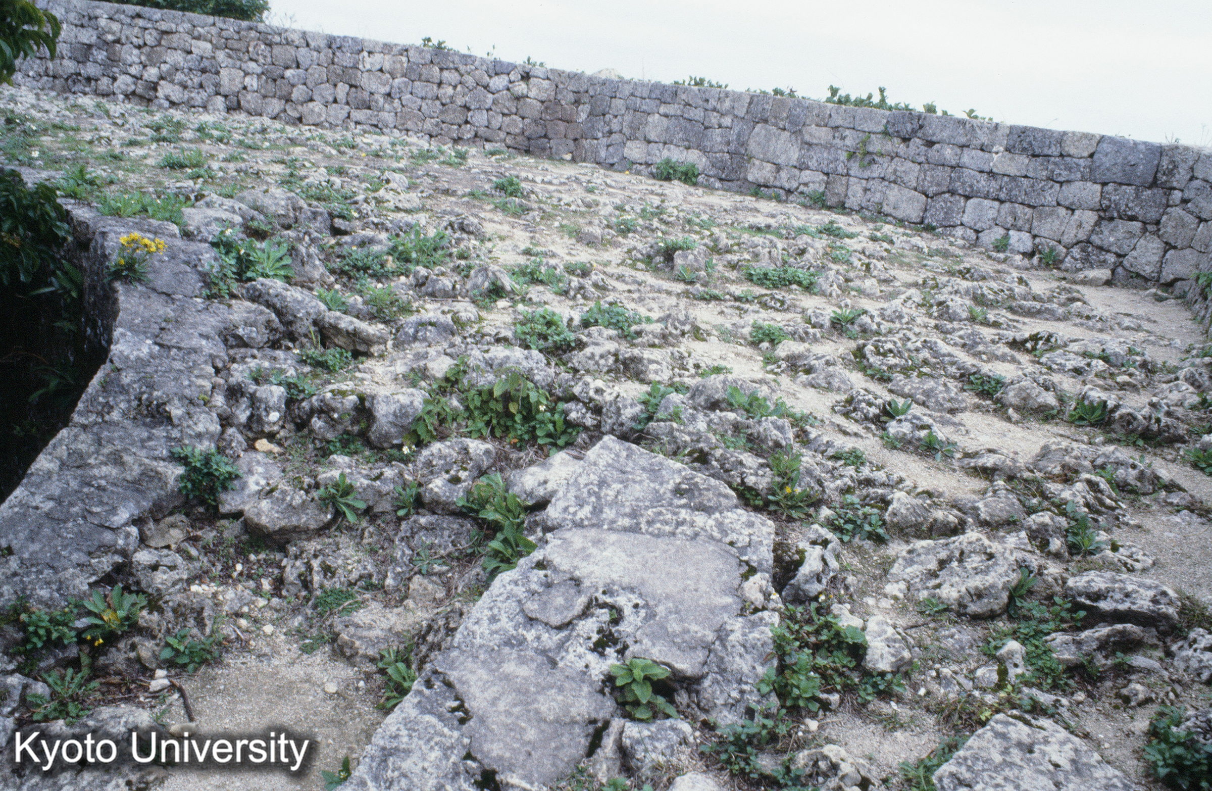 ［スライド］ (1)