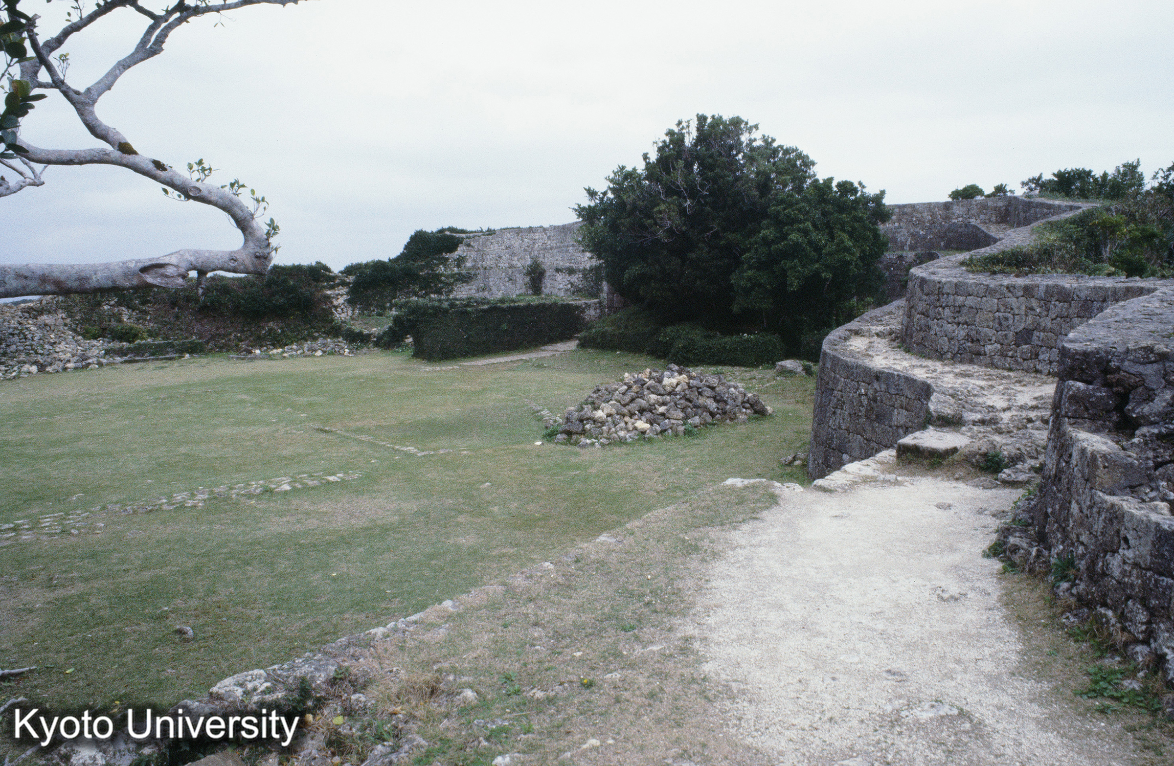 ［スライド］ (1)