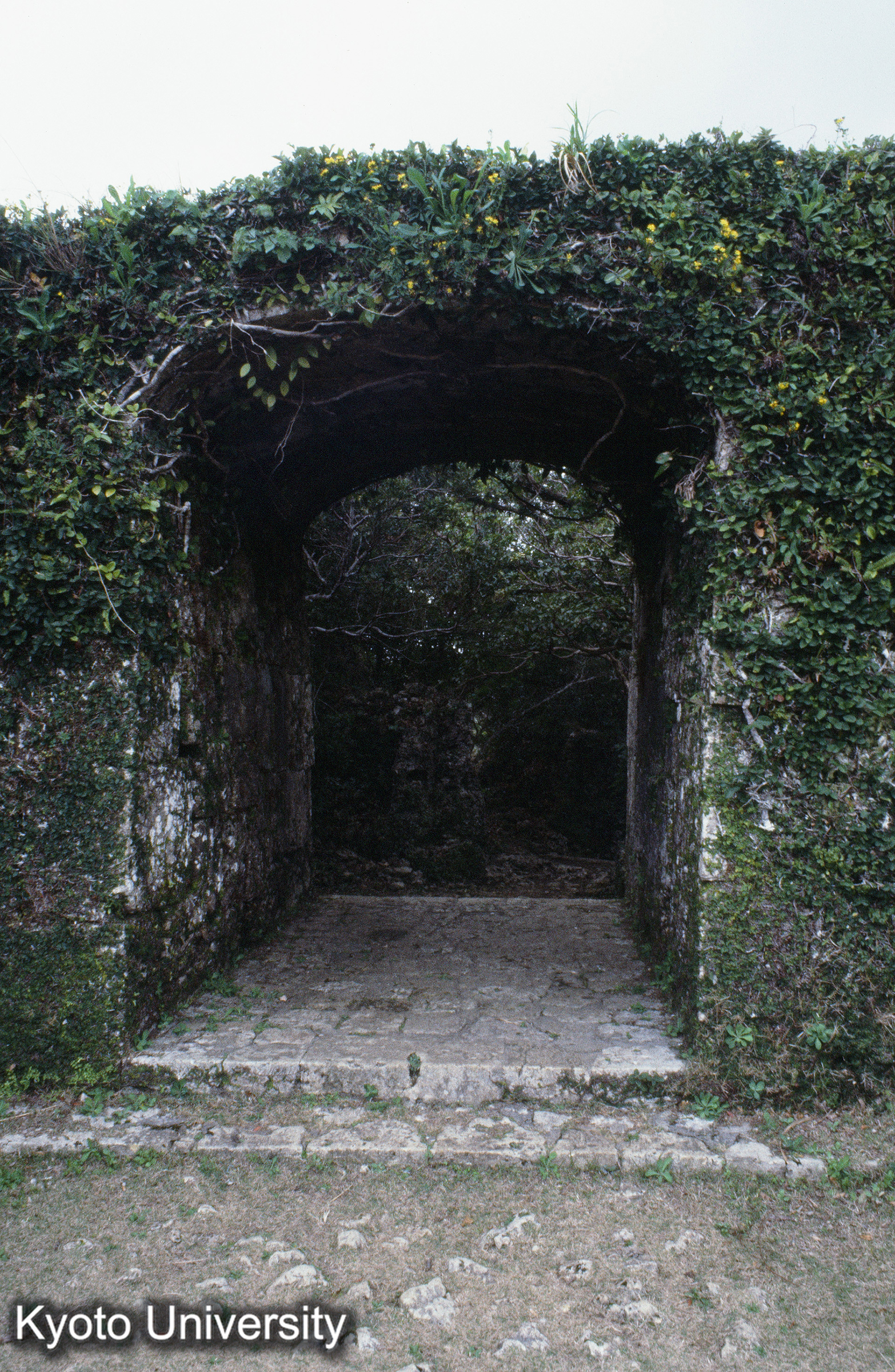 ［スライド］ (1)