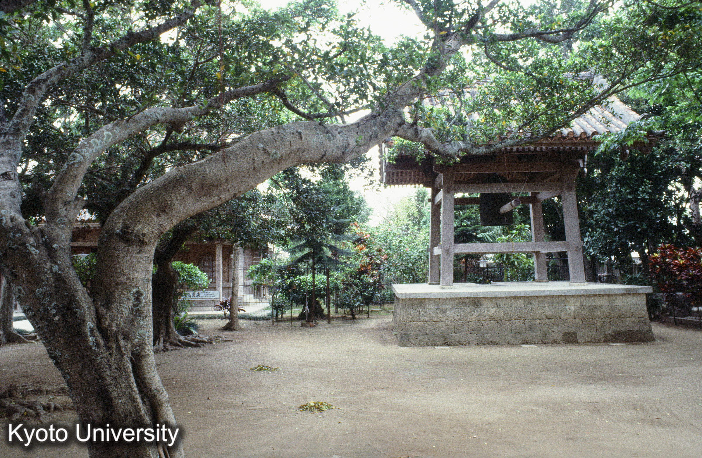 ［スライド］ (1)