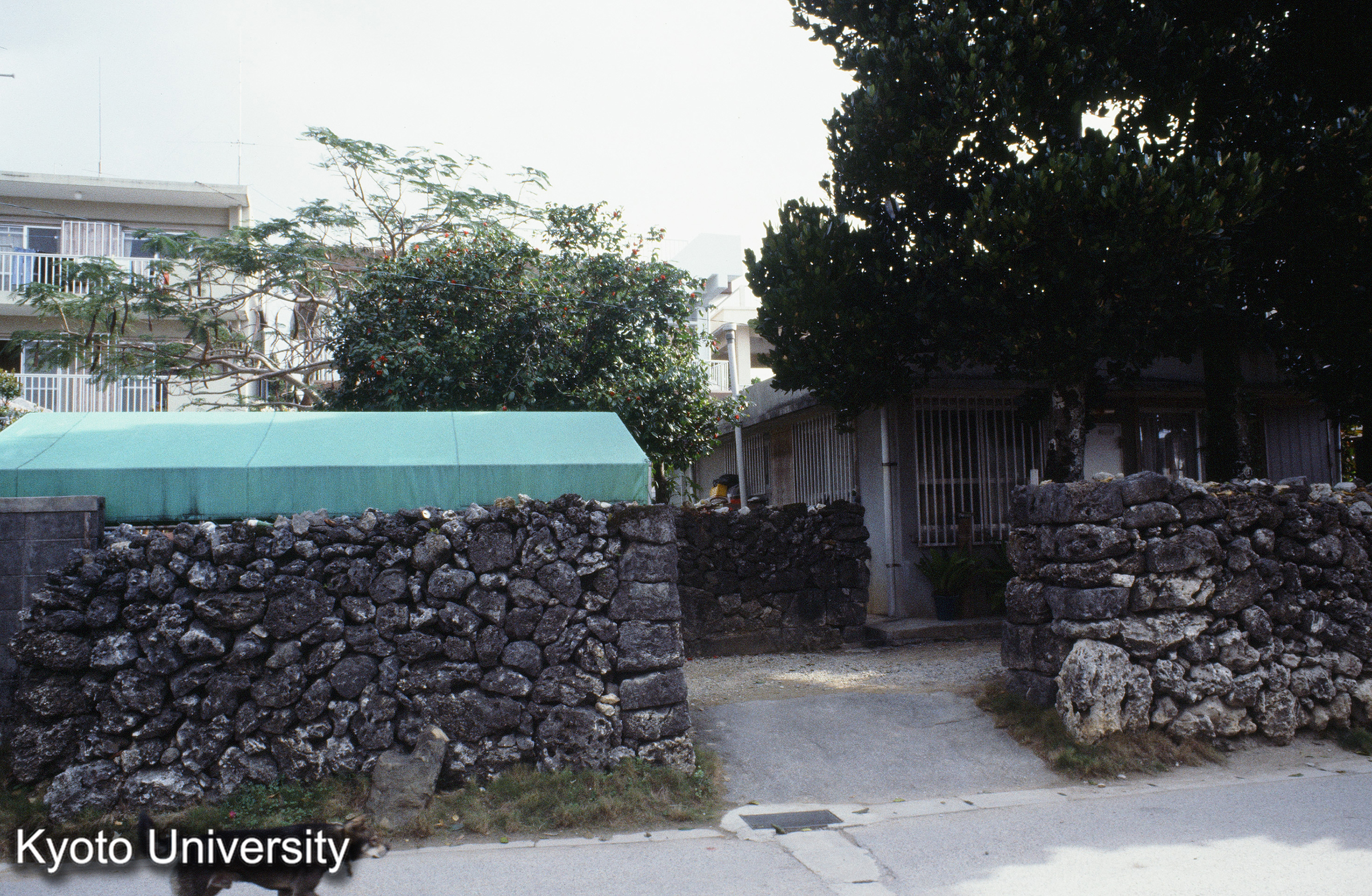 ［スライド］ (1)