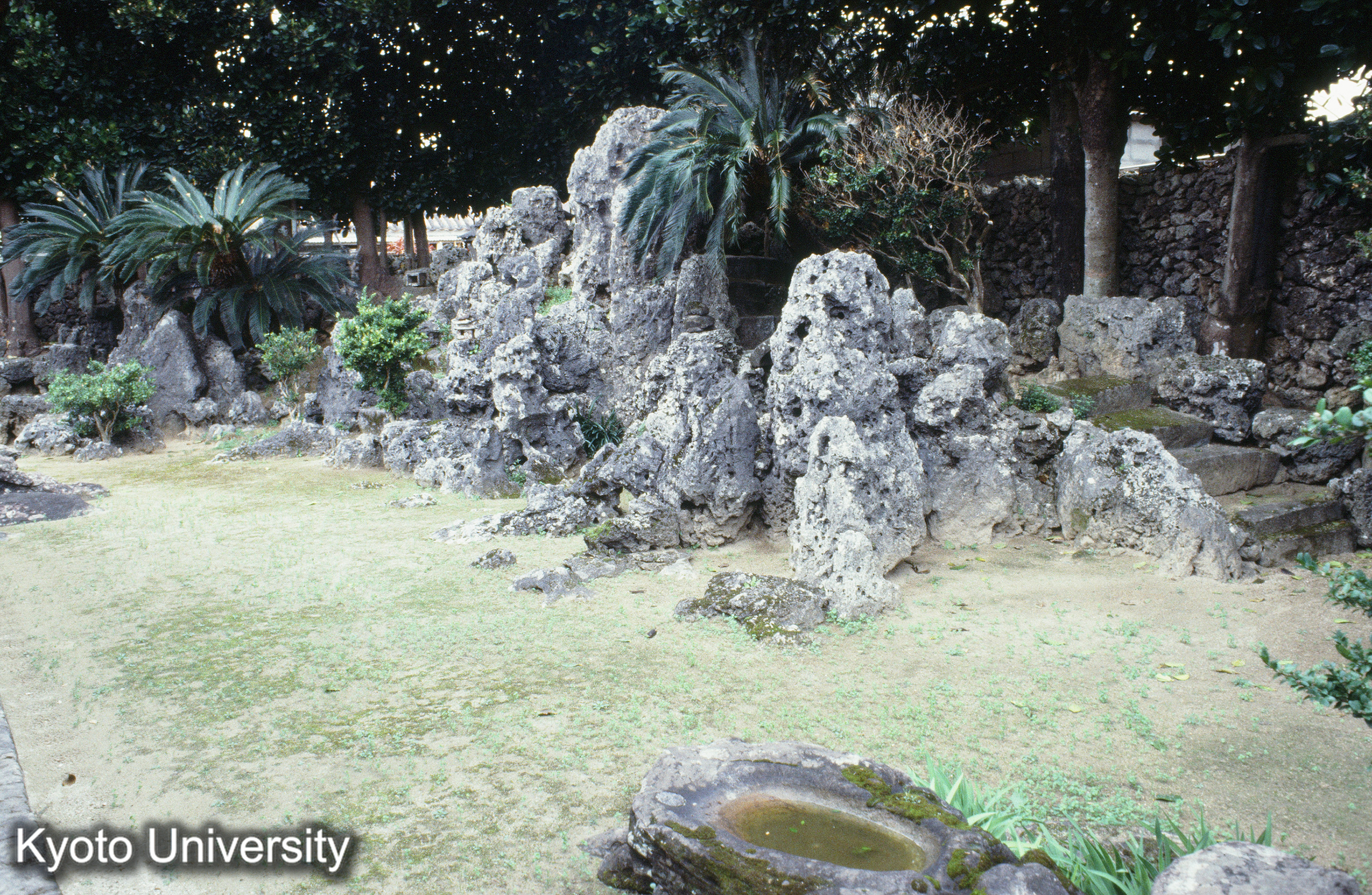 ［スライド］ (1)