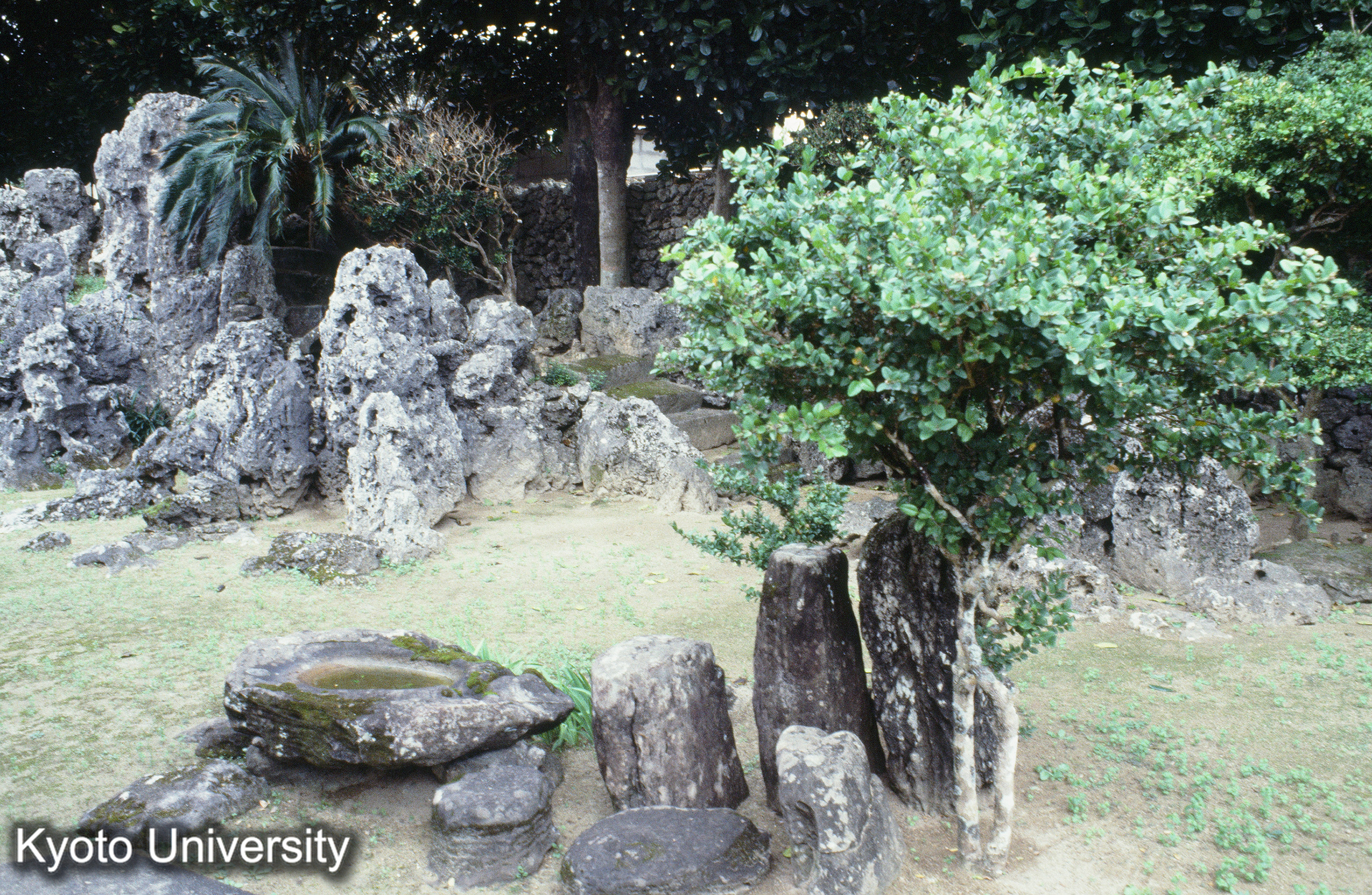 ［スライド］ (1)